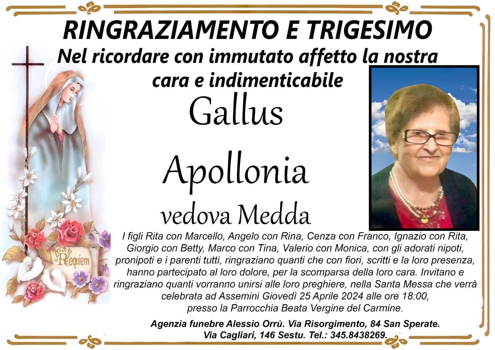 Apollonia Gallus