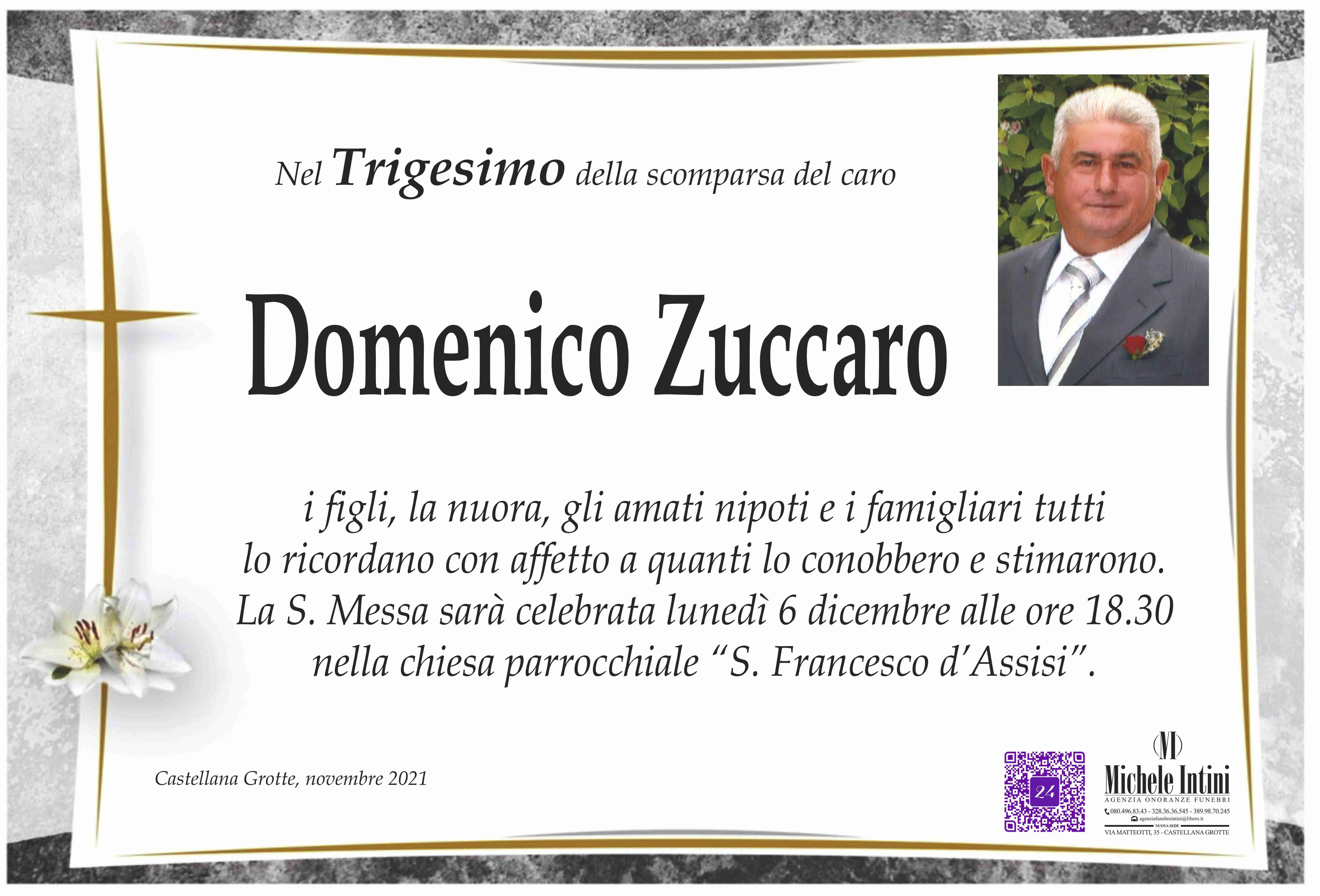 Domenico Zuccaro
