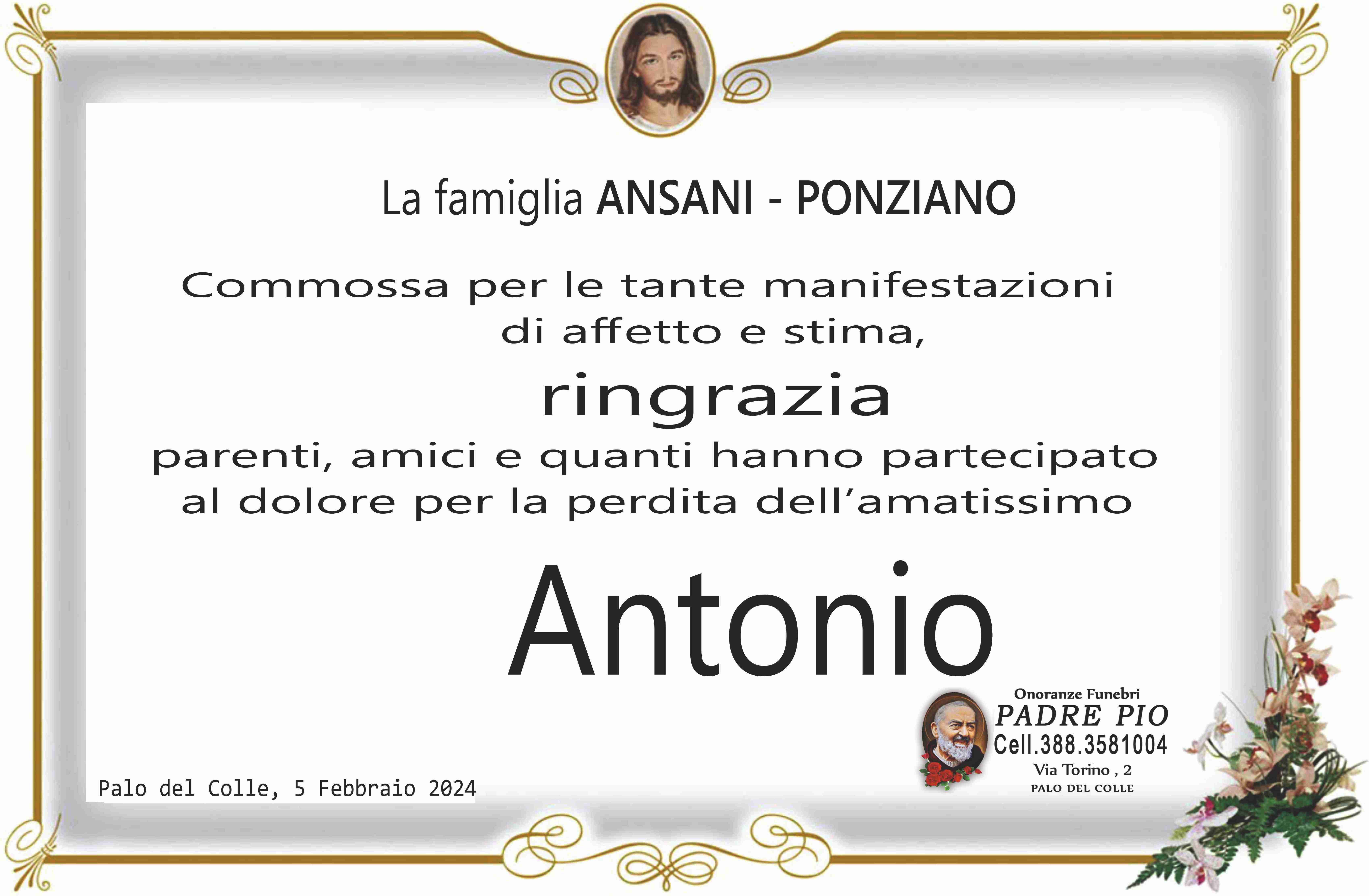 Antonio Ansani