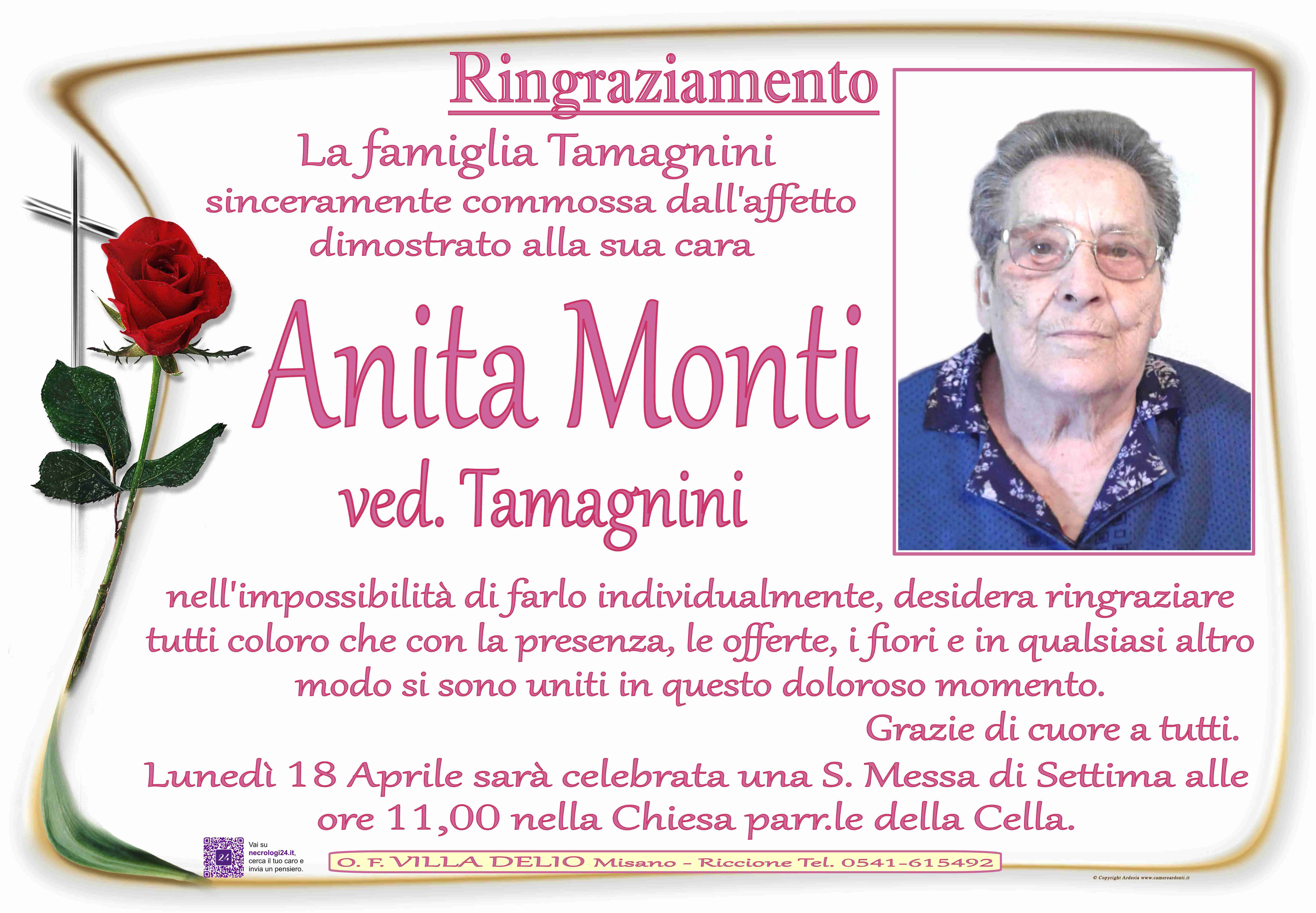 Anita Monti