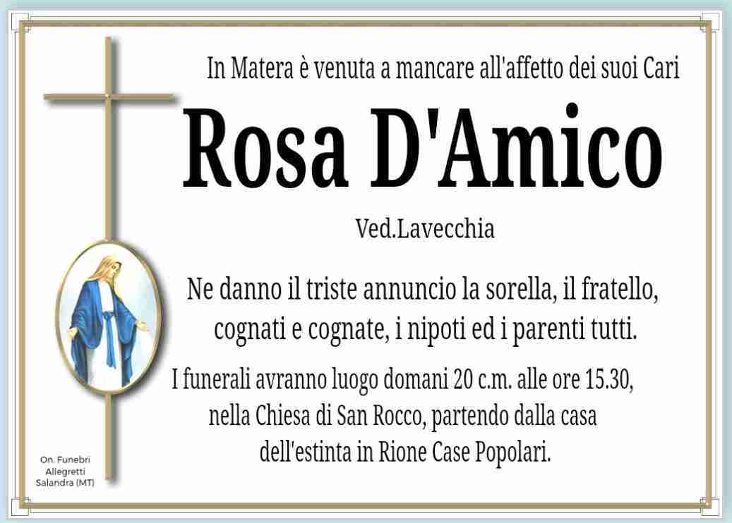 Rosa D'Amico