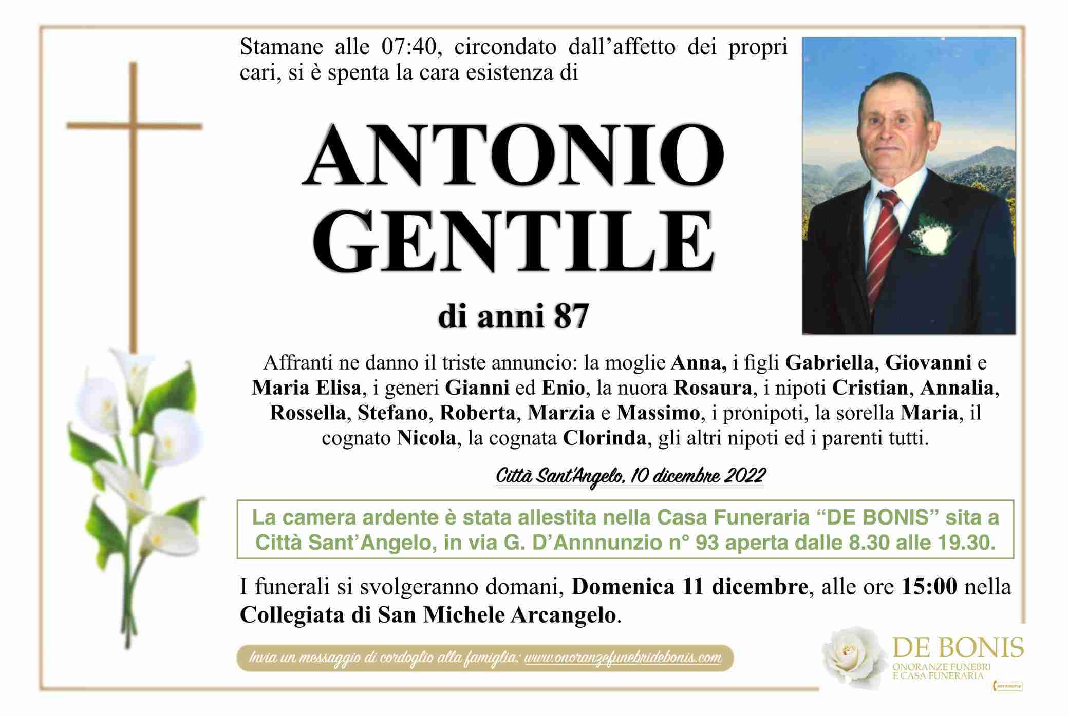 Antonio Gentile