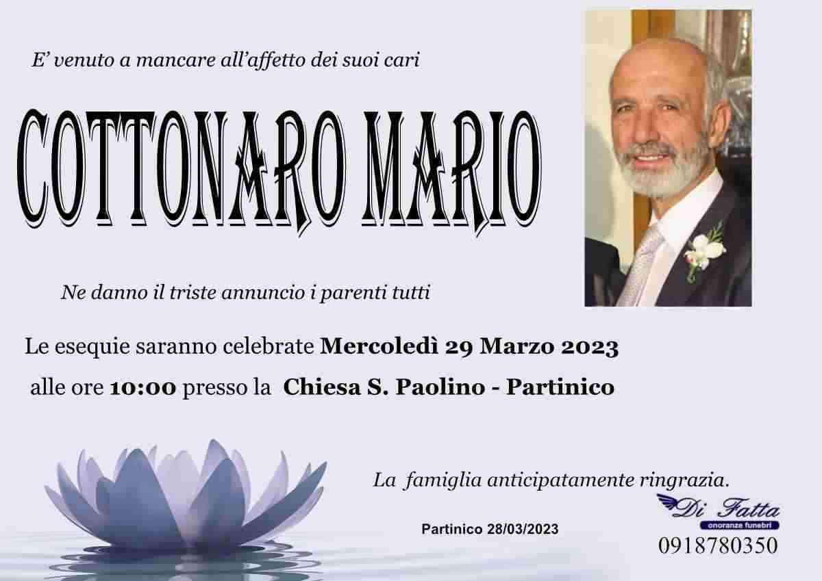Mario Cottonaro
