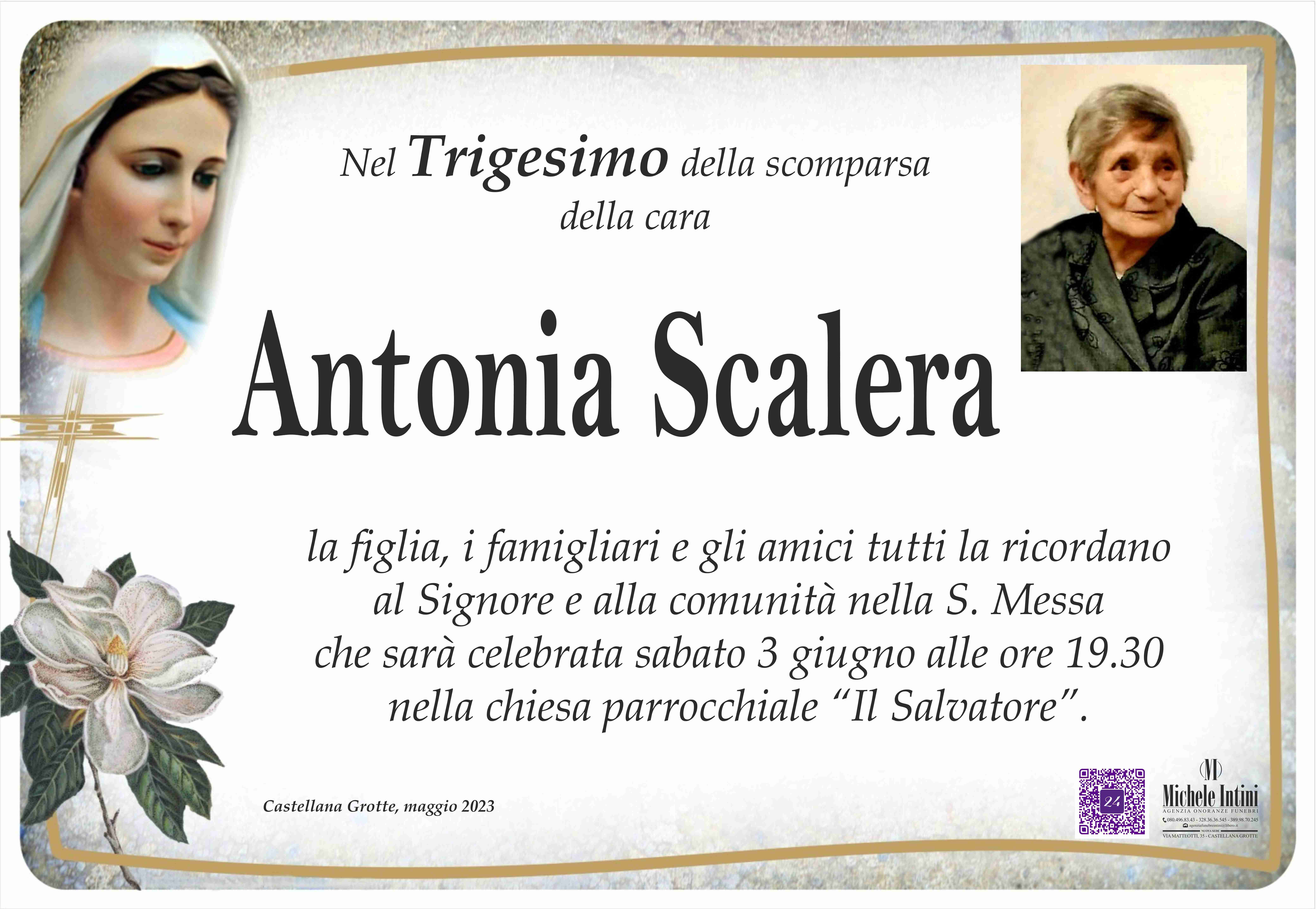 Antonia Scalera
