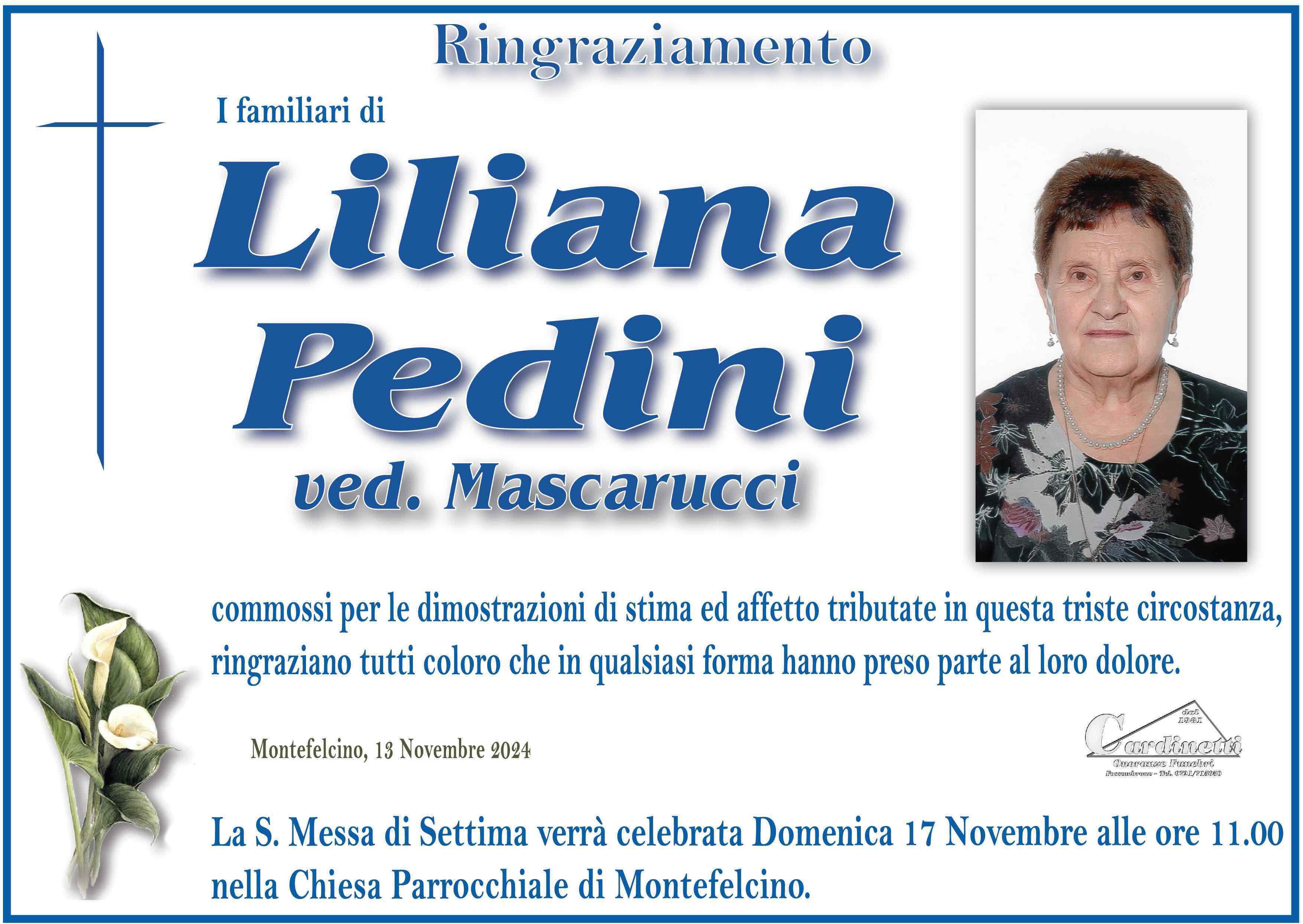 Liliana Pedini