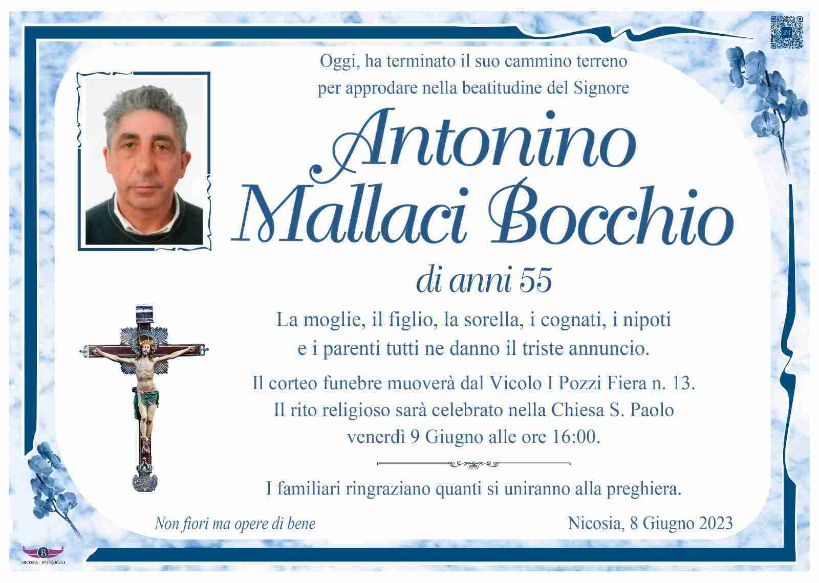 Antonino Mallaci Bocchio