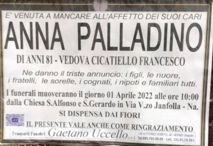 Anna Palladino