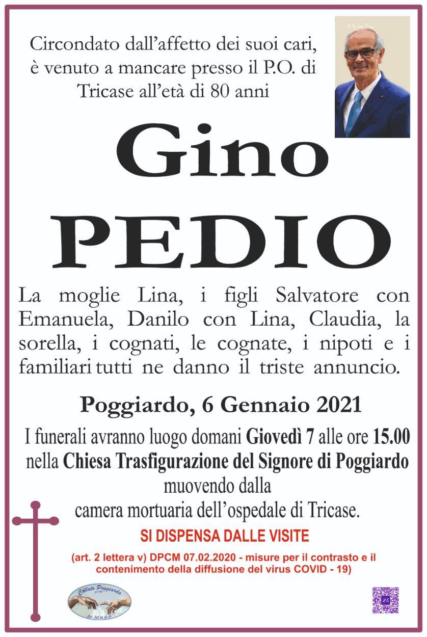 Gino Pedio