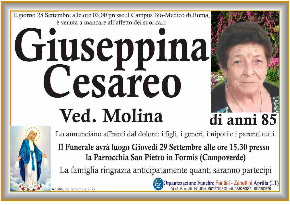 Giuseppina Cesareo