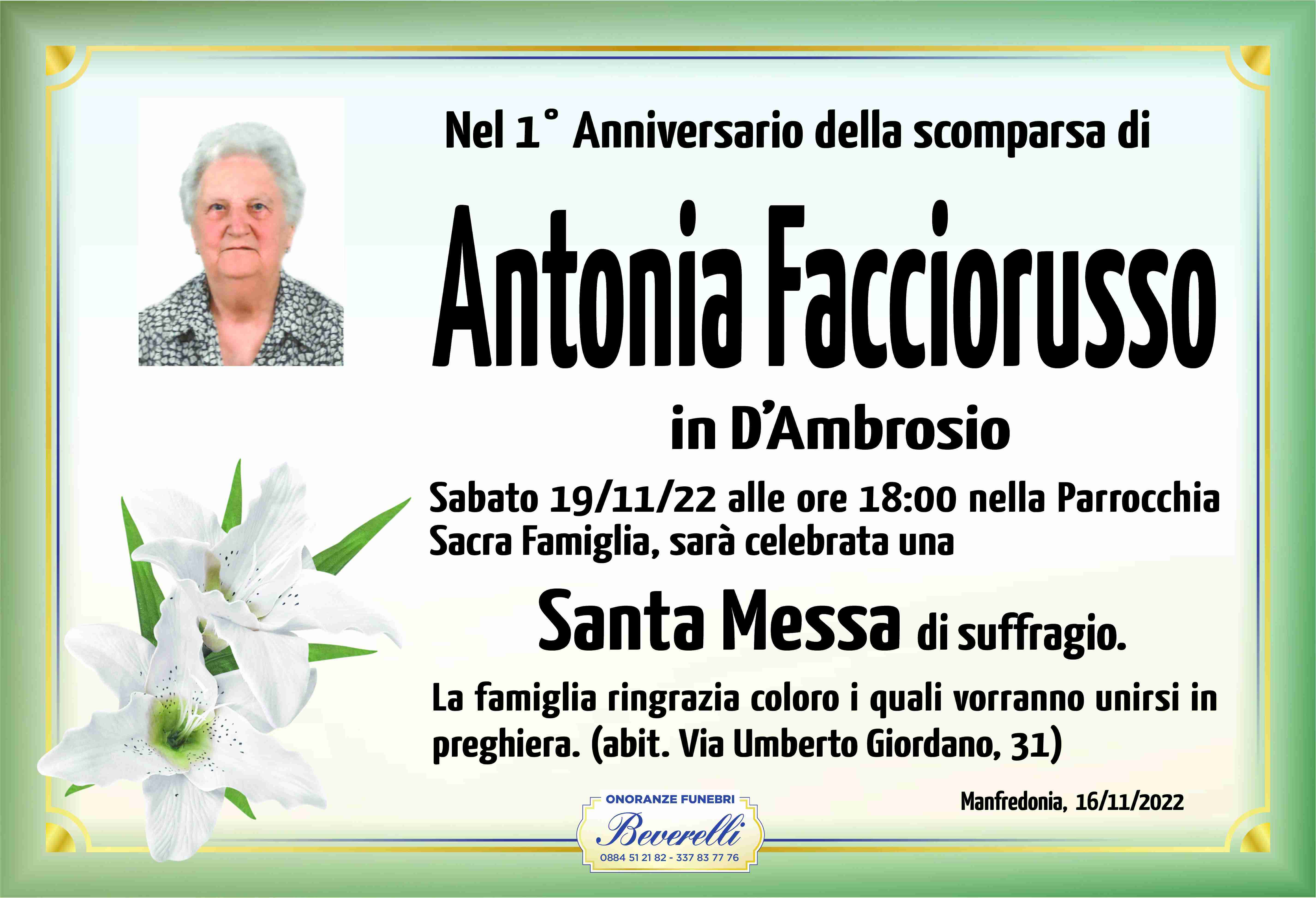 Antonia Facciorusso