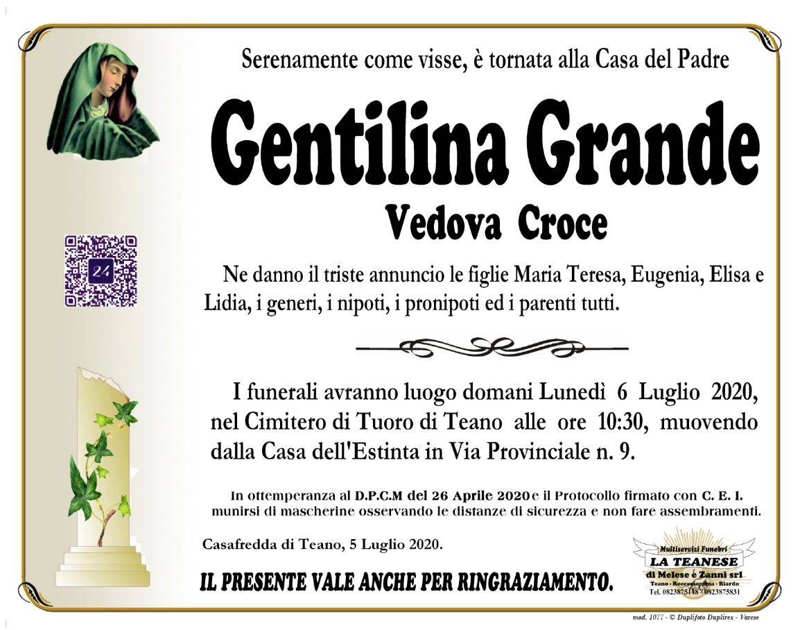 Gentilina Grande