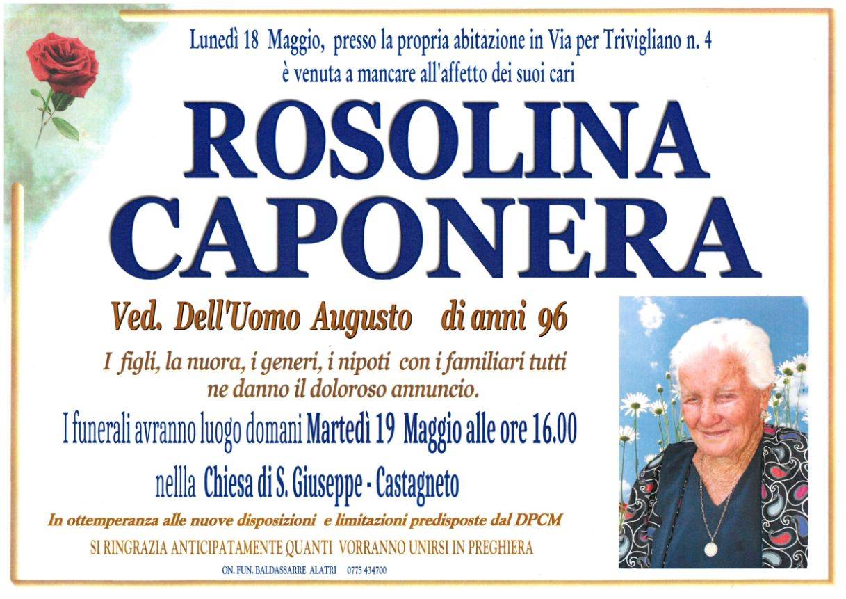 Rosolina Caponera