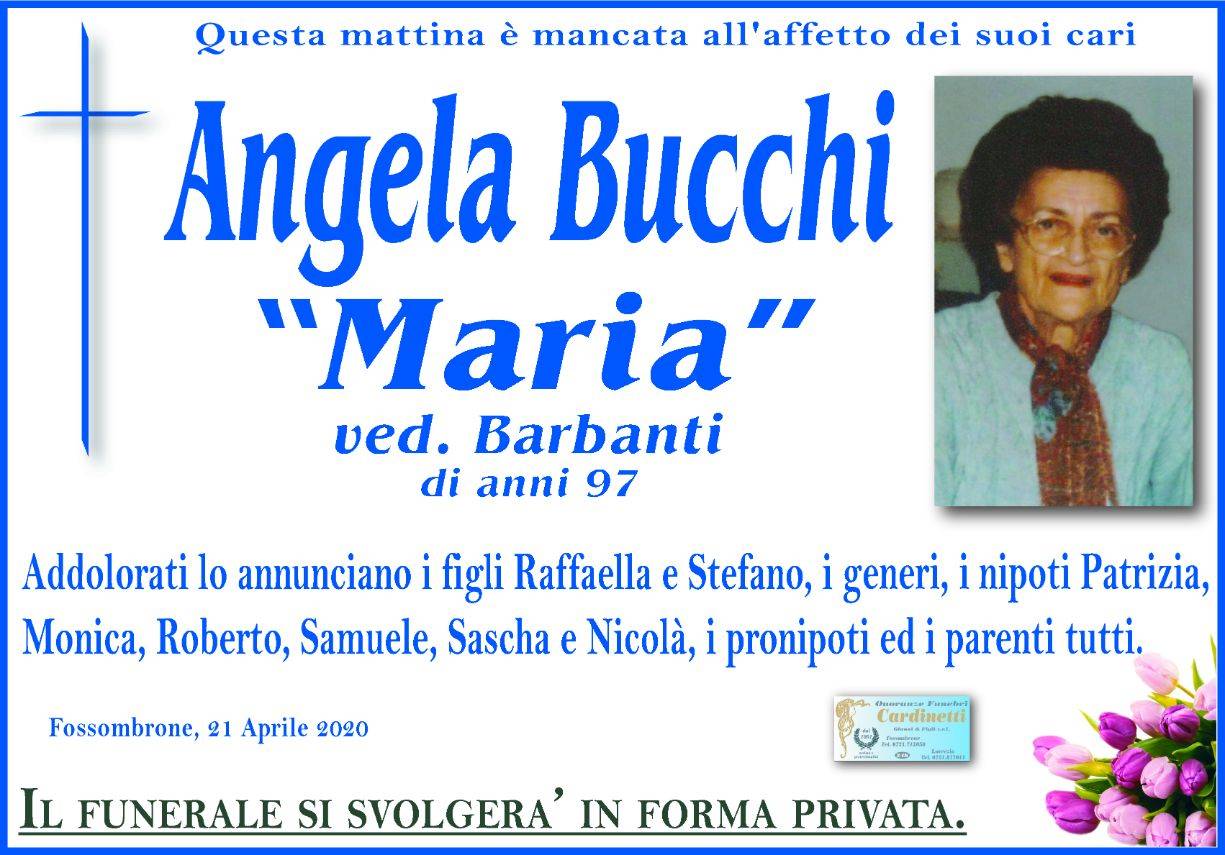 Angela Bucchi