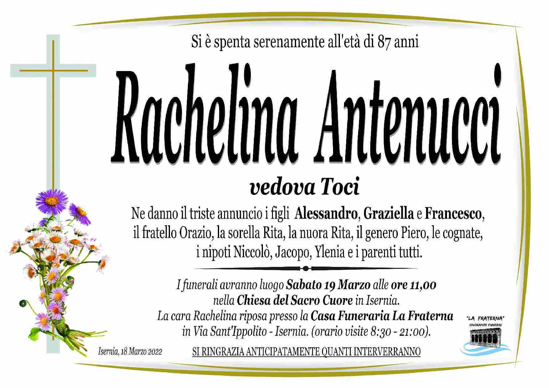 Rachelina Antenucci