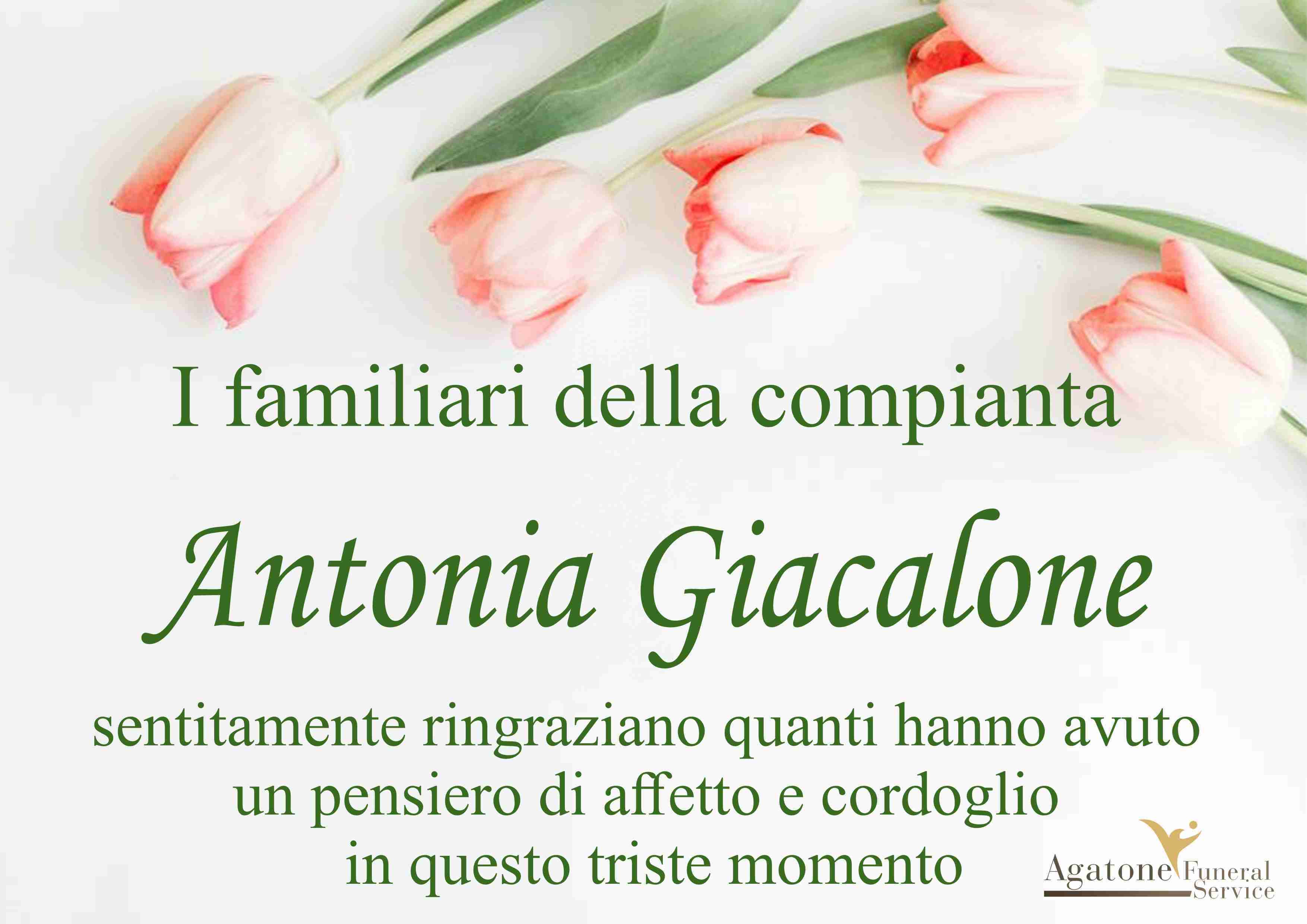 Antonia Giacalone