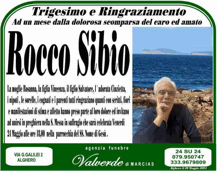 Rocco Sibio