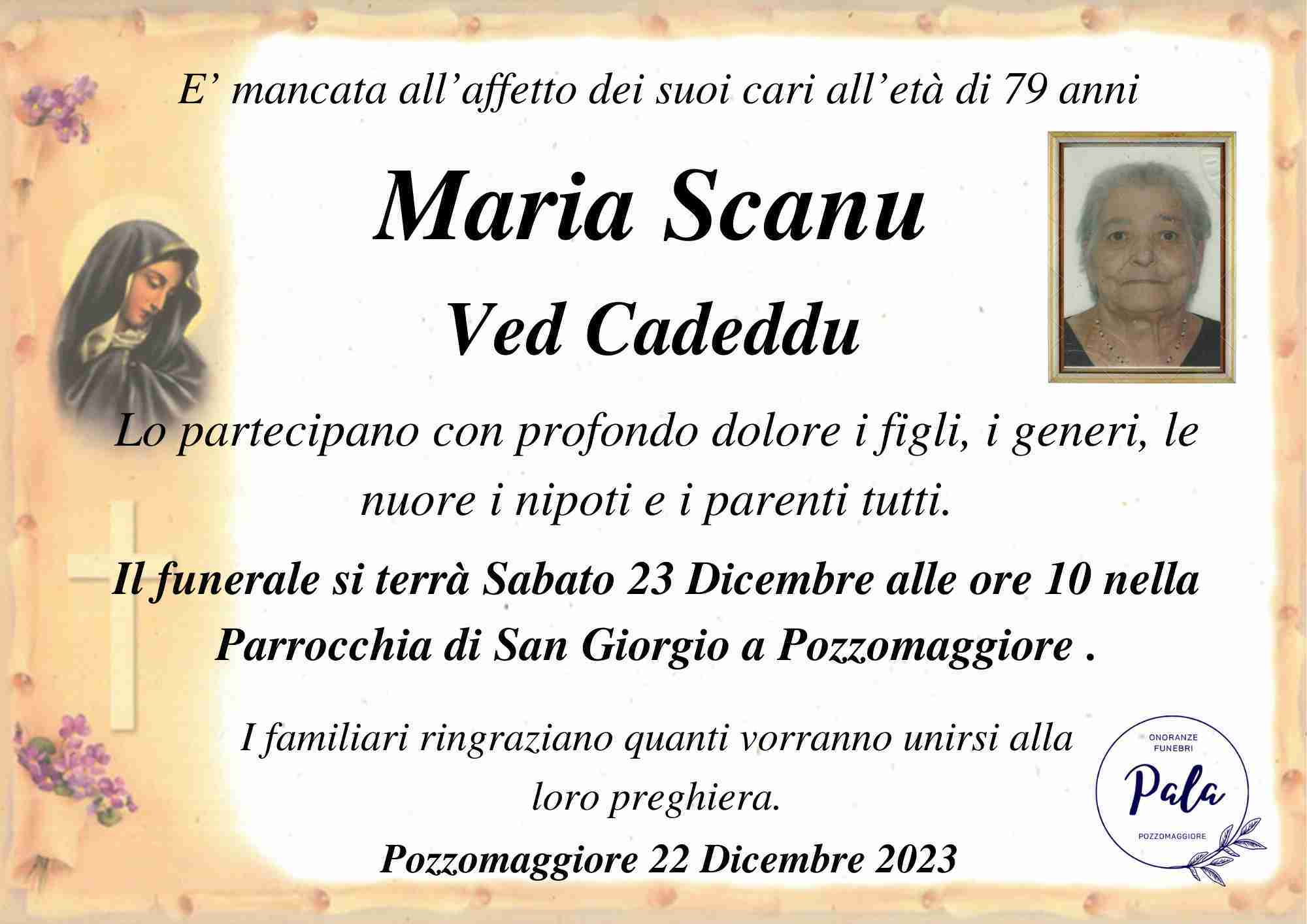 Maria Scanu