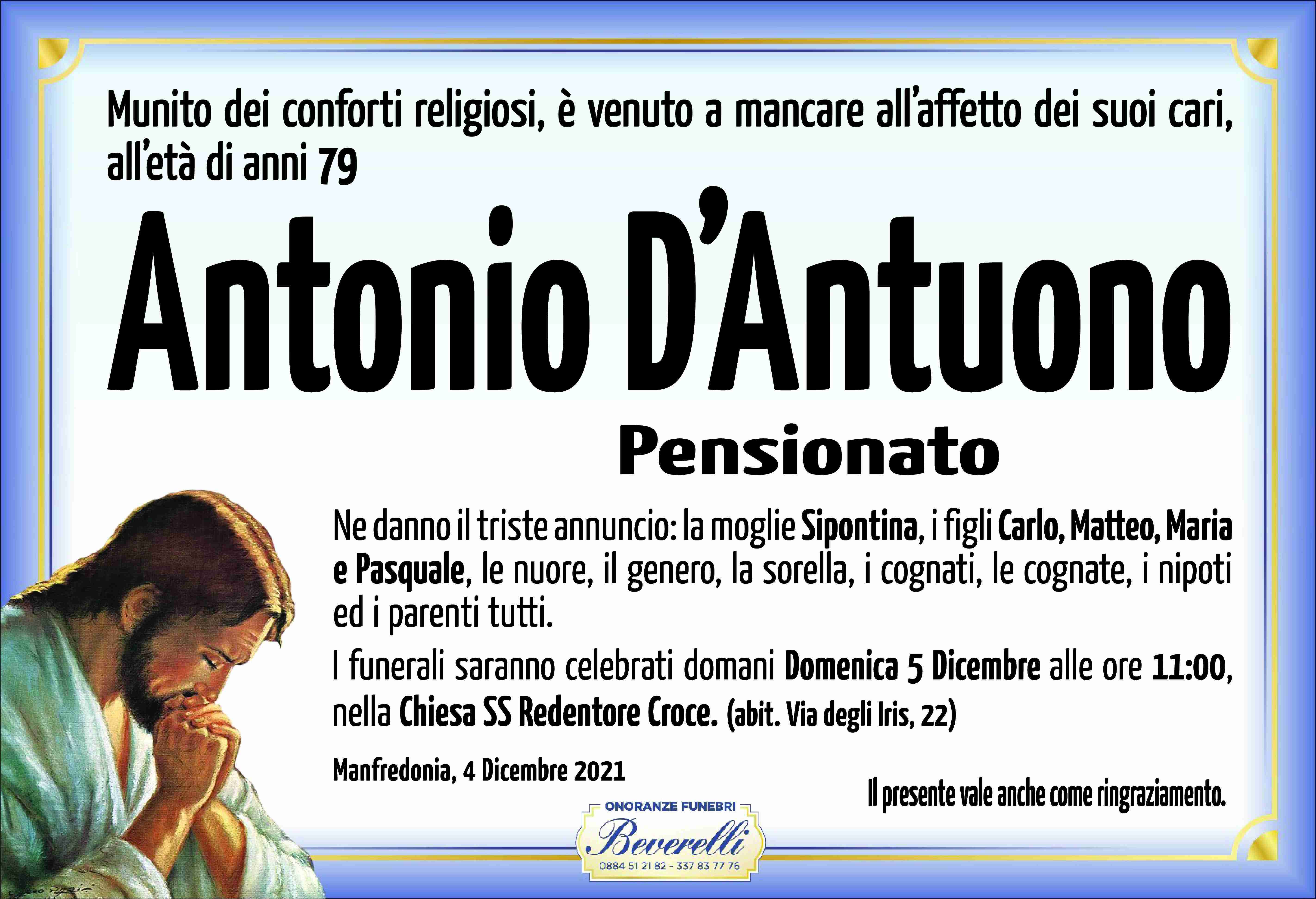 Antonio D'Antuono