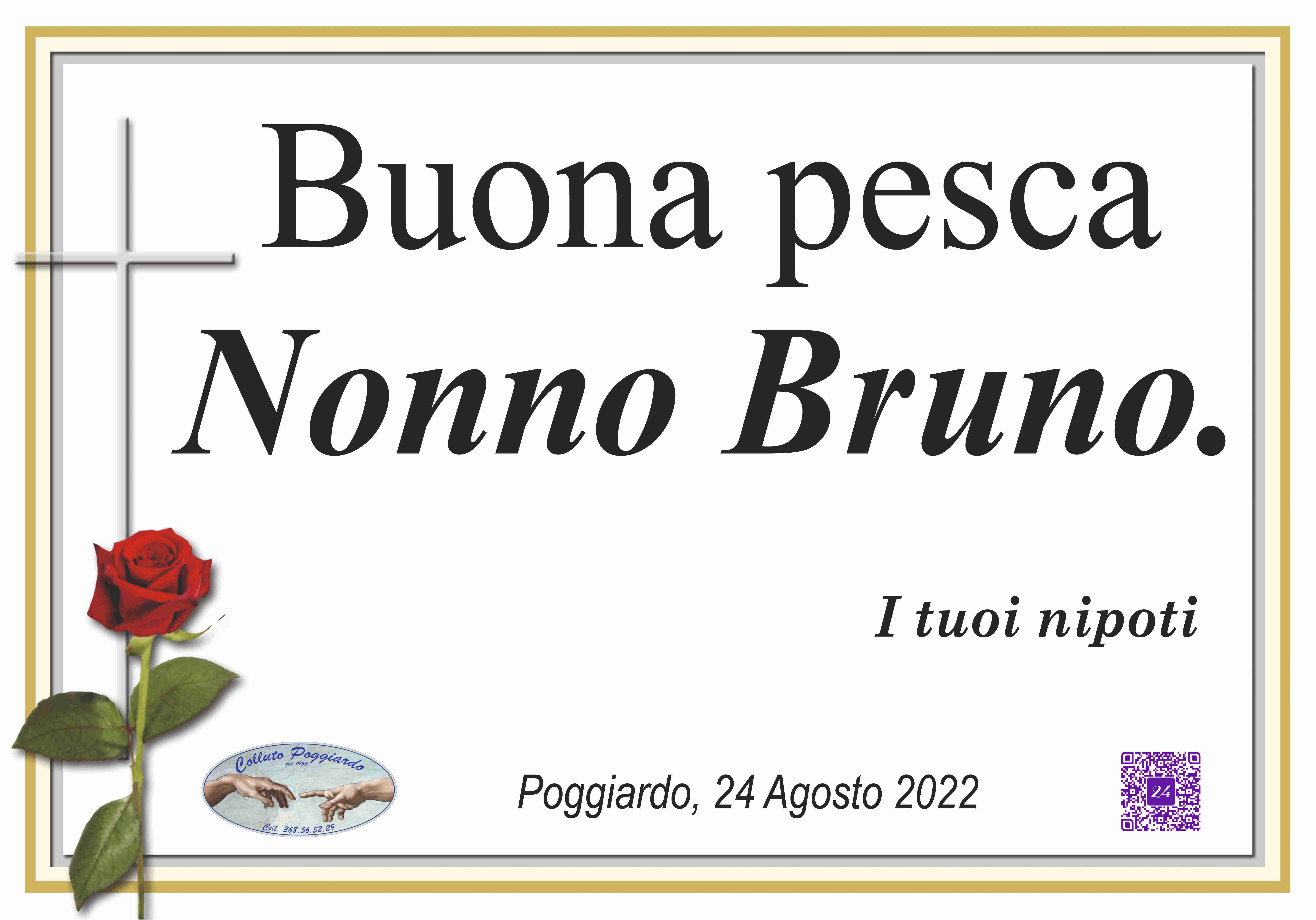 Bruno Trono