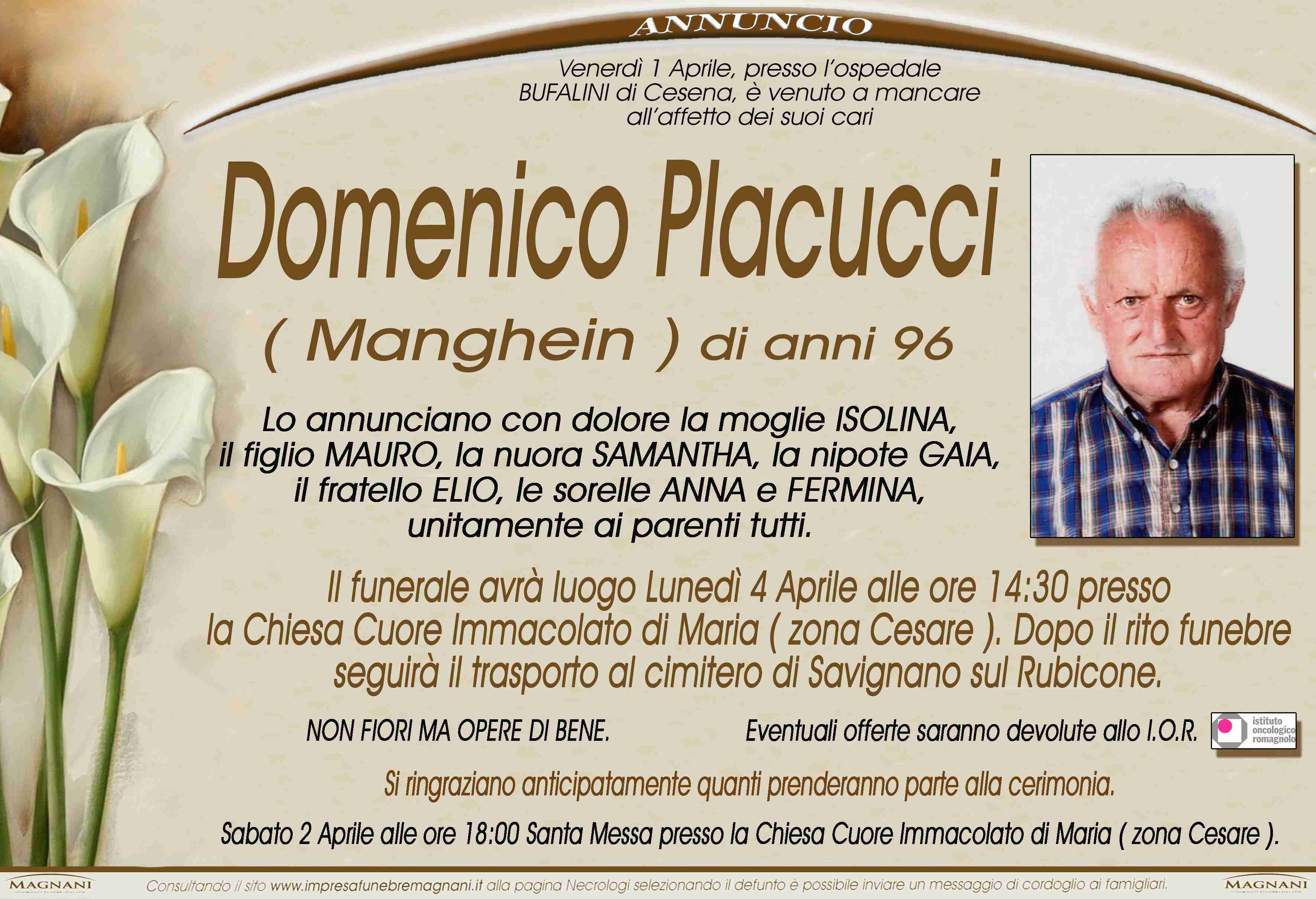 Domenico Placucci
