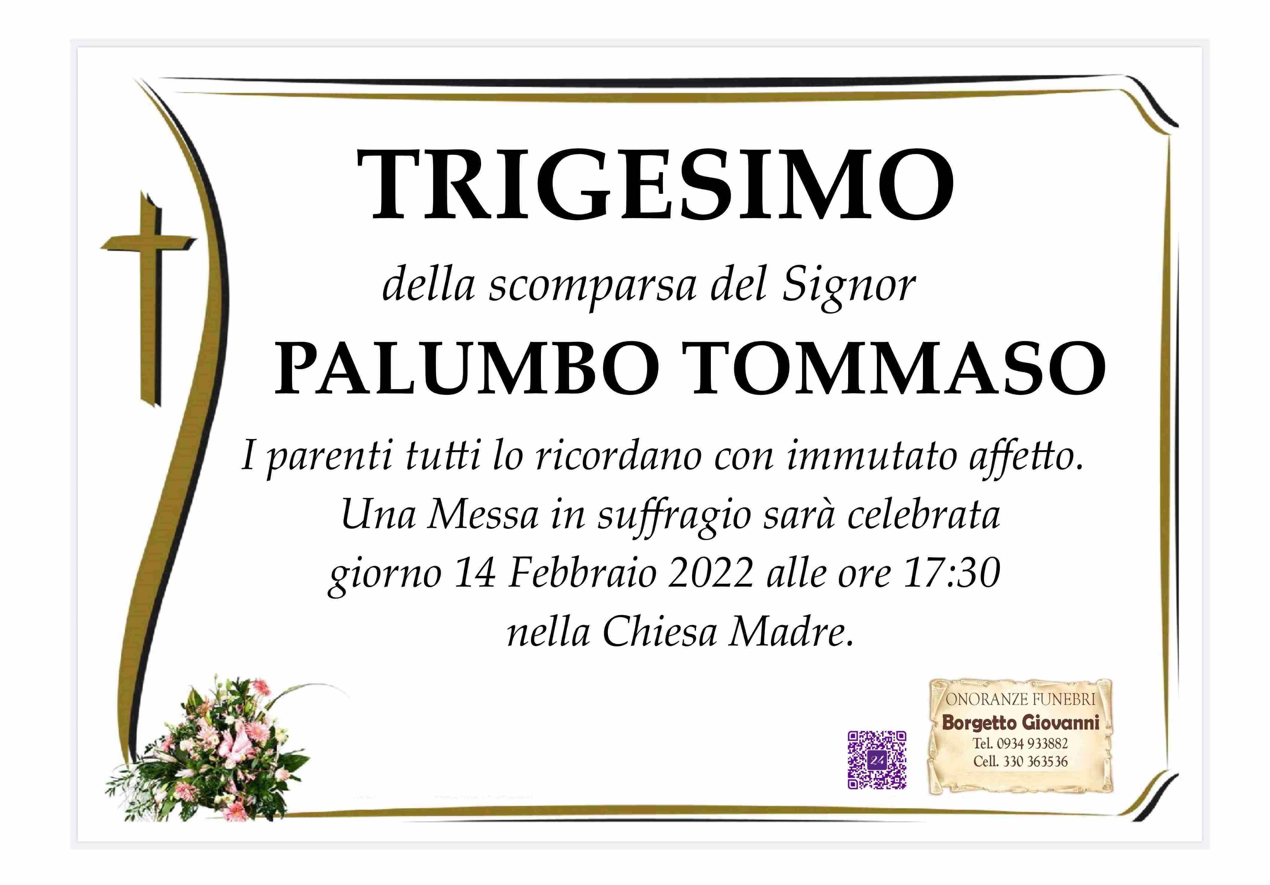 Tommaso Palumbo