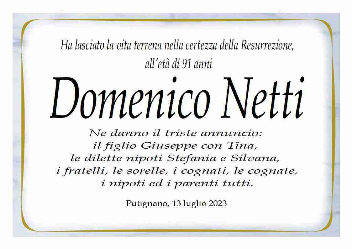 Domenico Netti