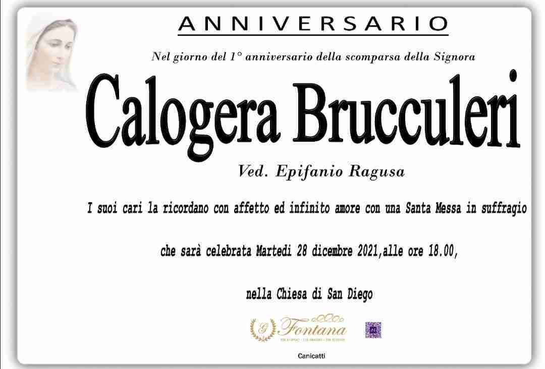 Calogera Brucculeri