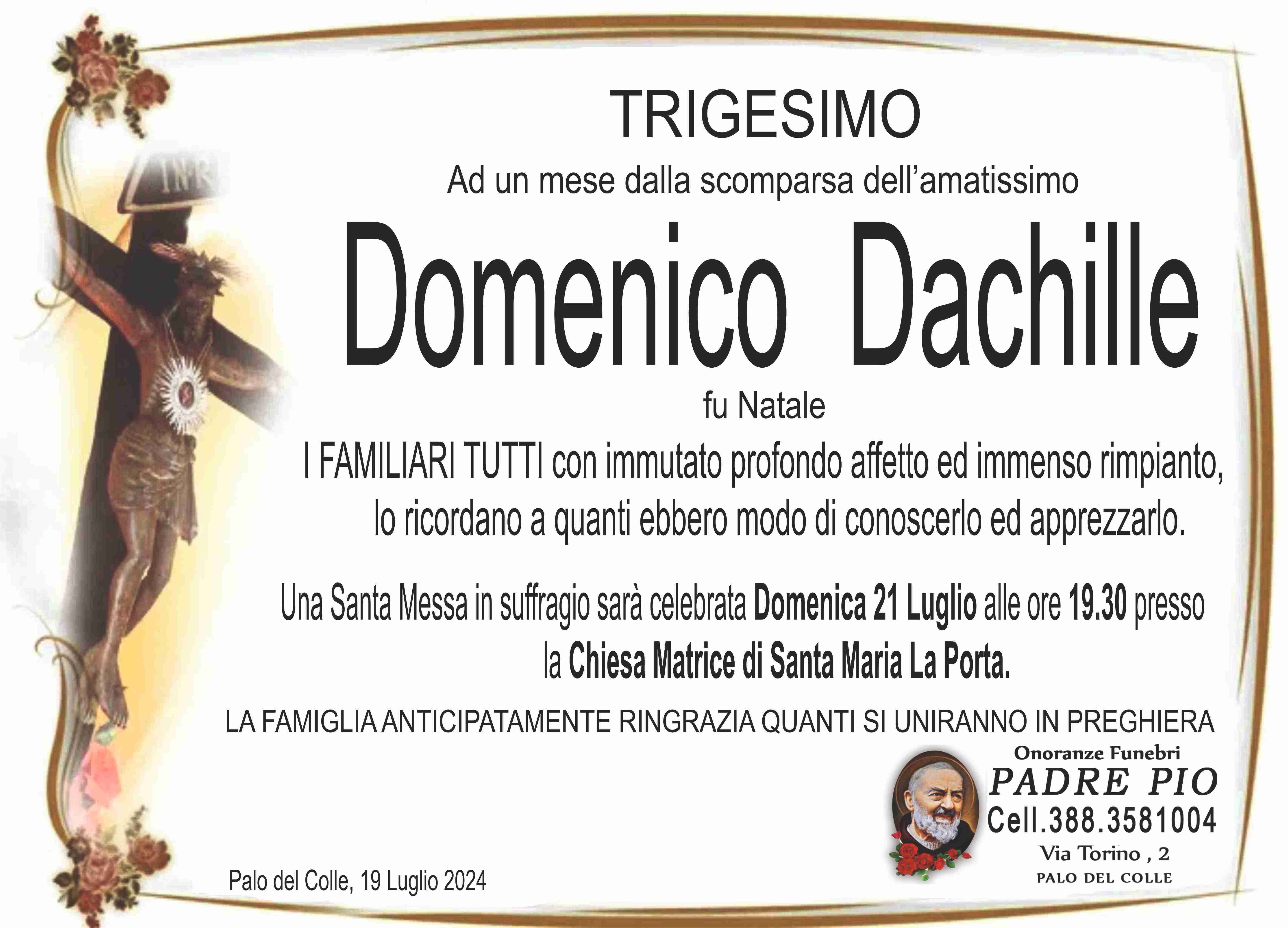 Domenico Dachille
