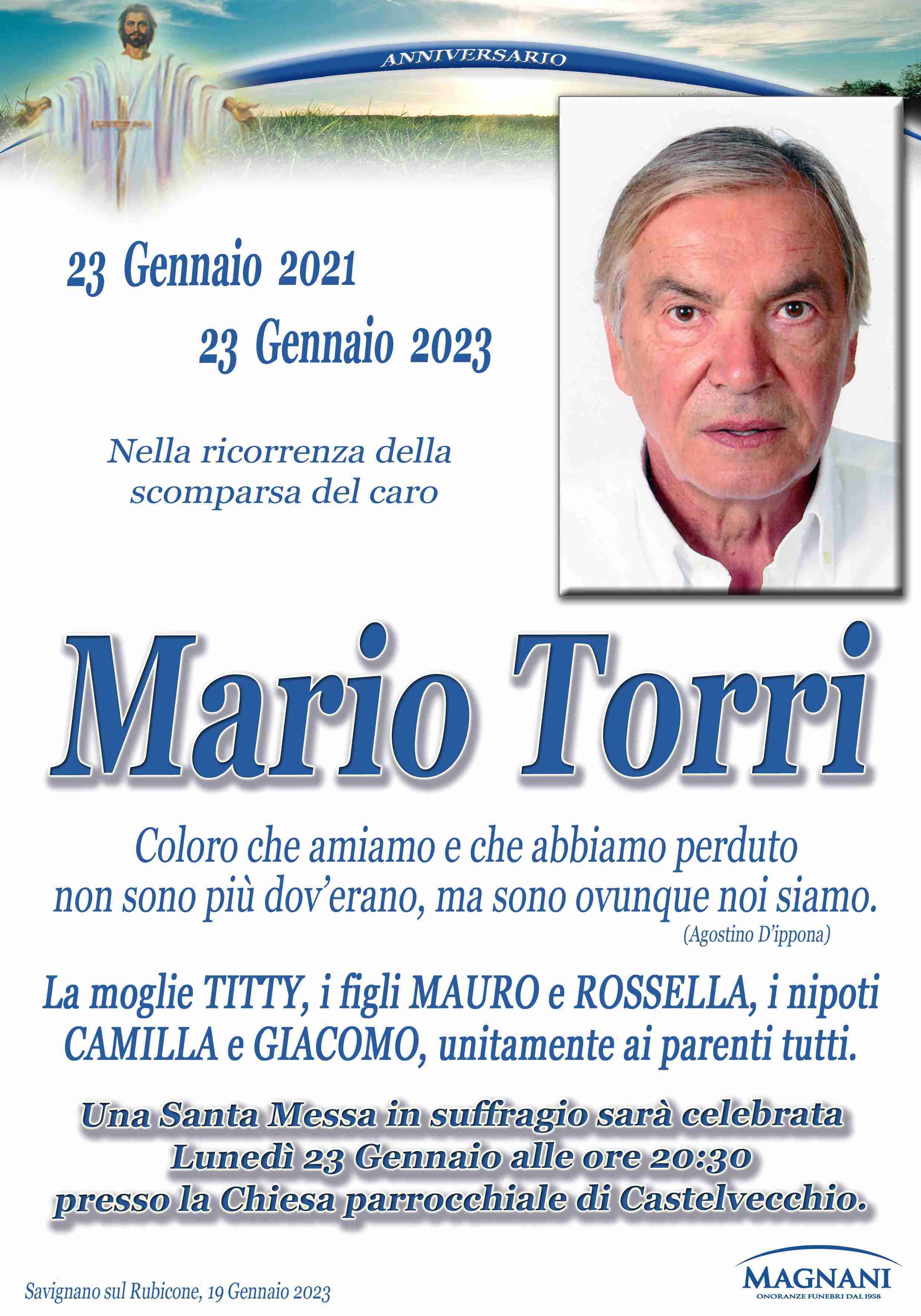 Mario Torri