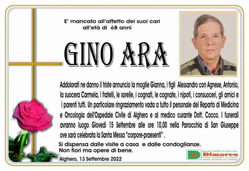 Gino Ara