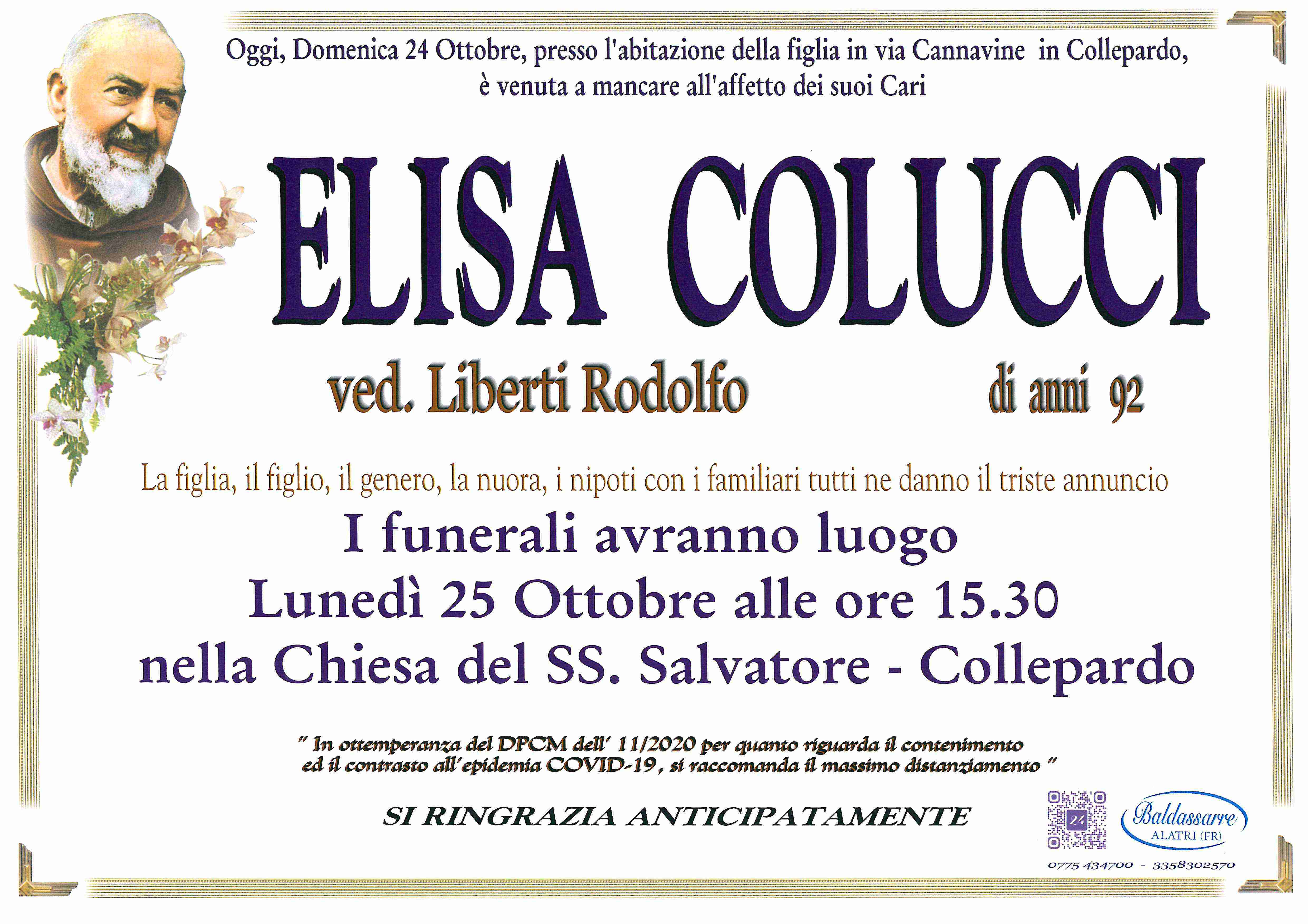 Elisa Colucci