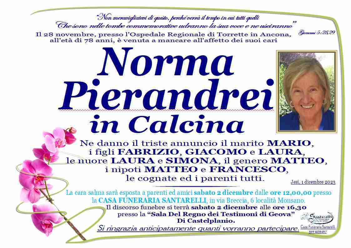 Norma Pierandrei