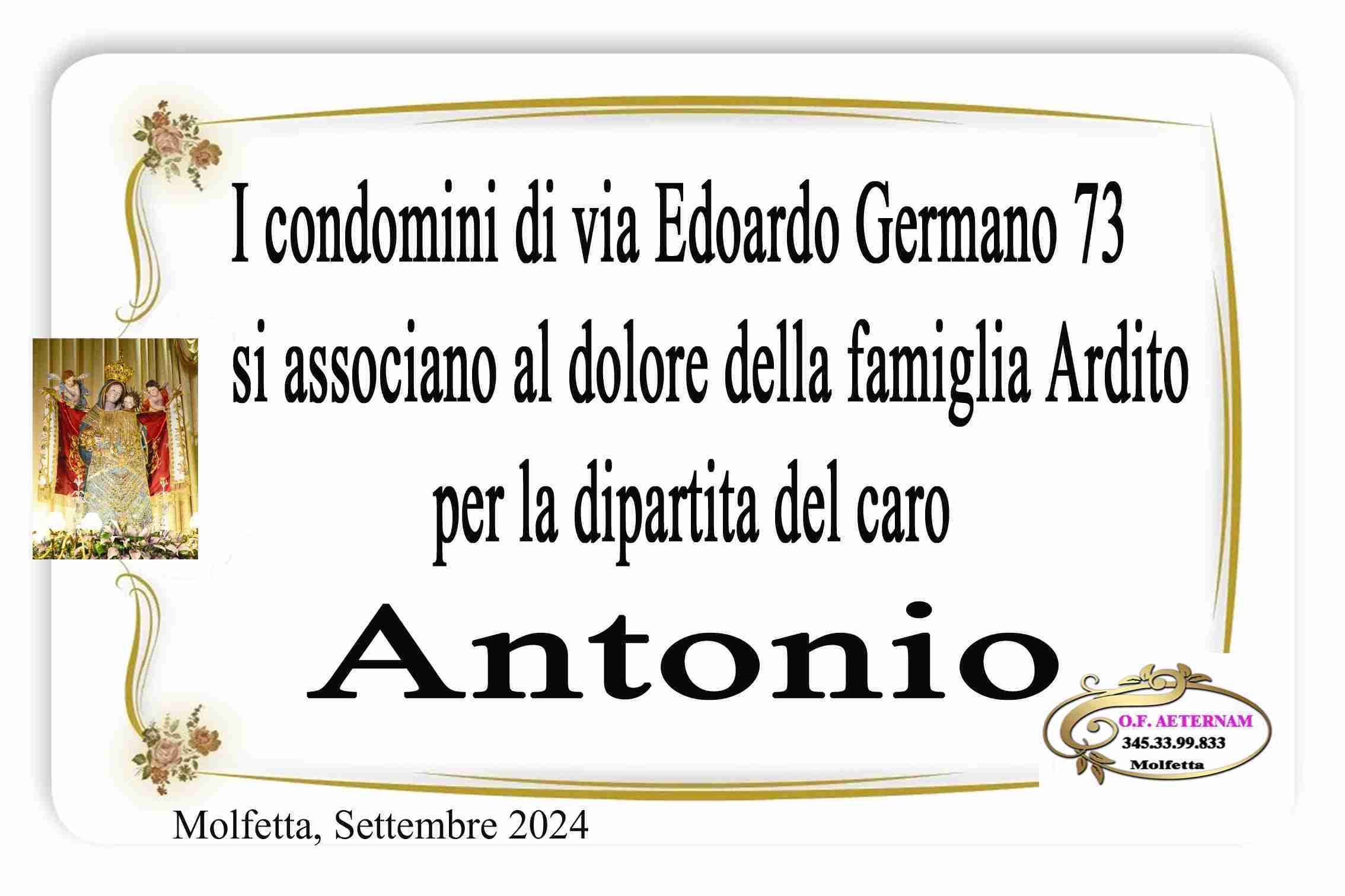 Antonio Ardito