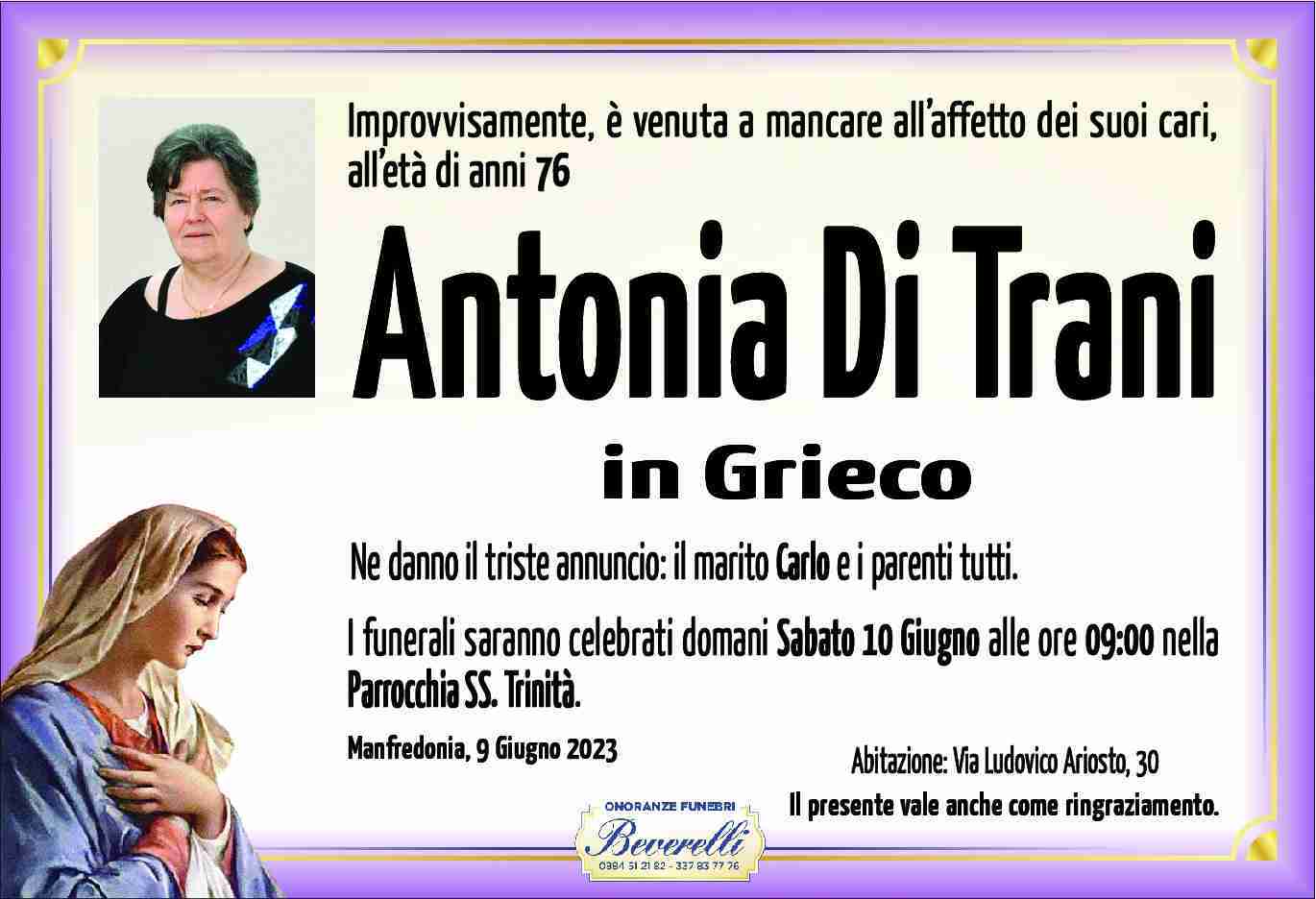 Antonia Di Trani