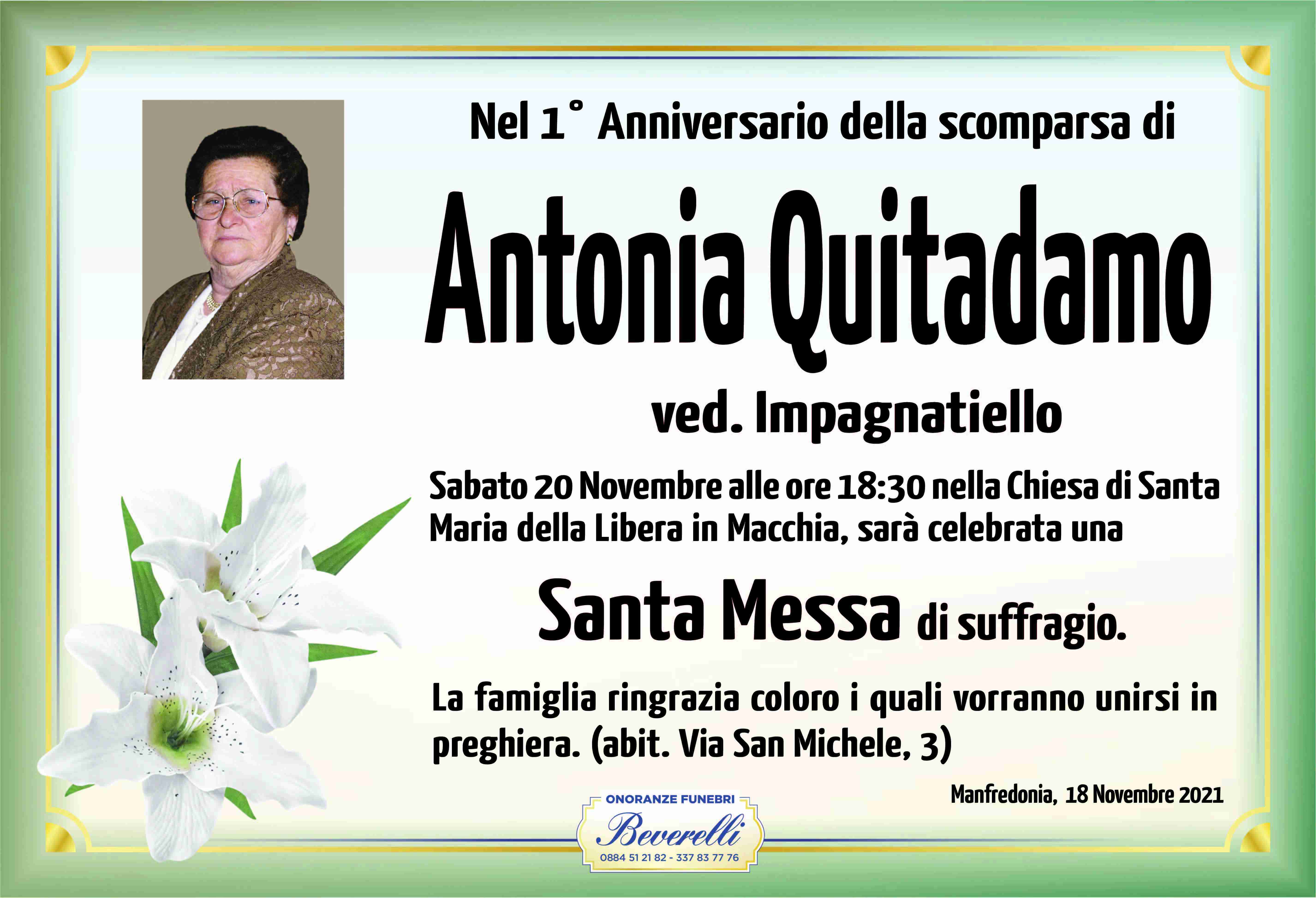 Antonia Quitadamo