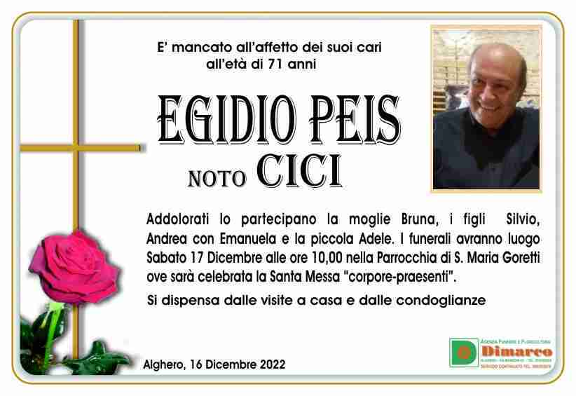 Egidio Peis
