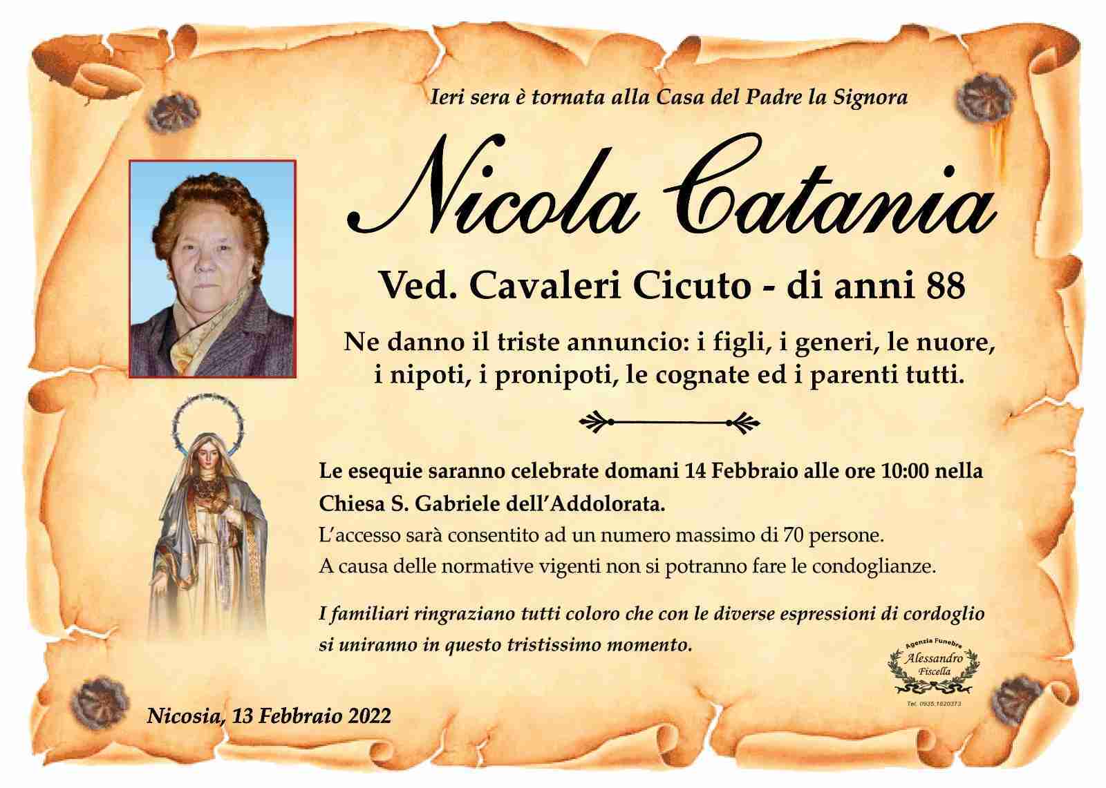 Nicola Catania
