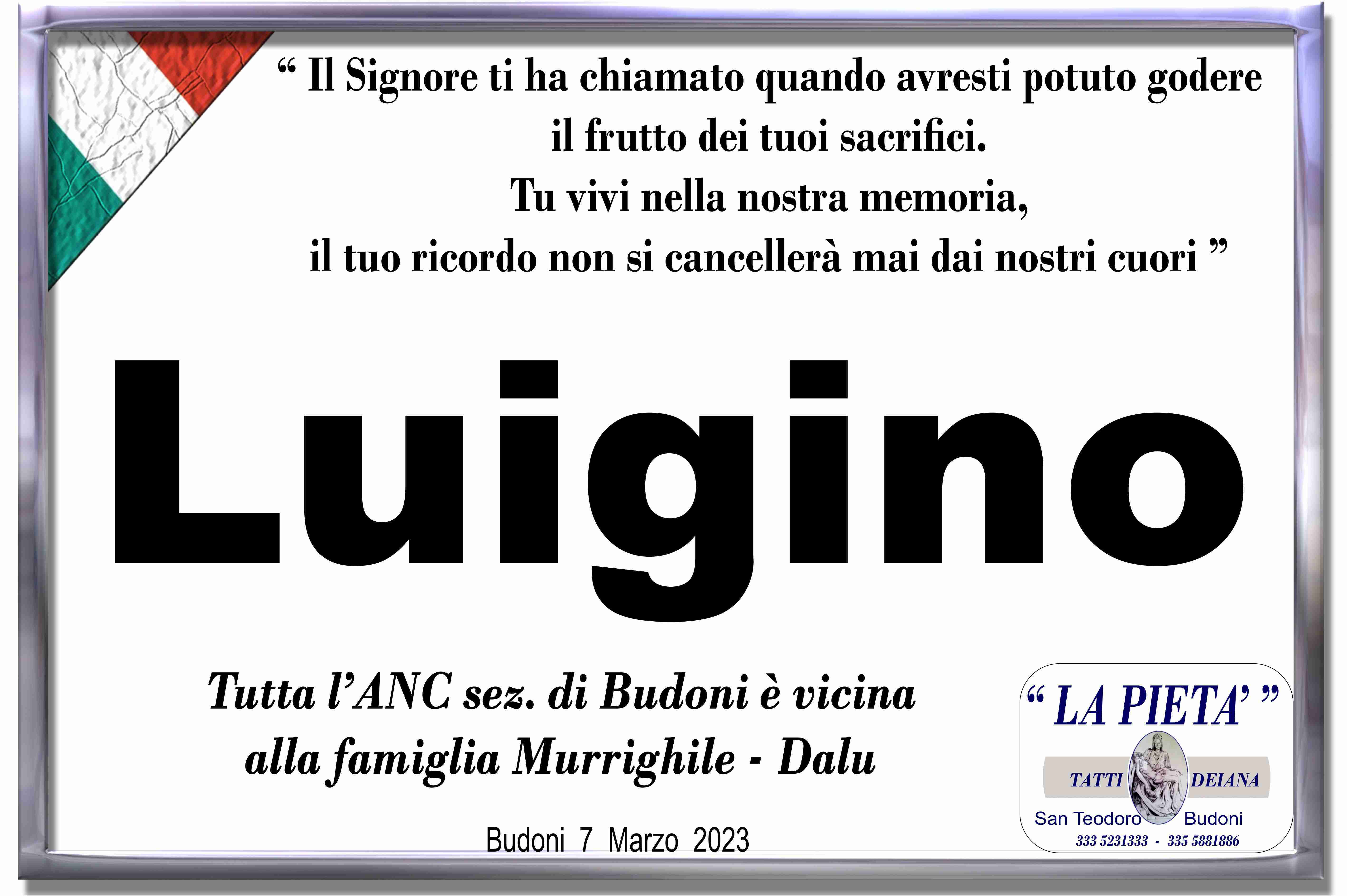 Luigino Murrighile