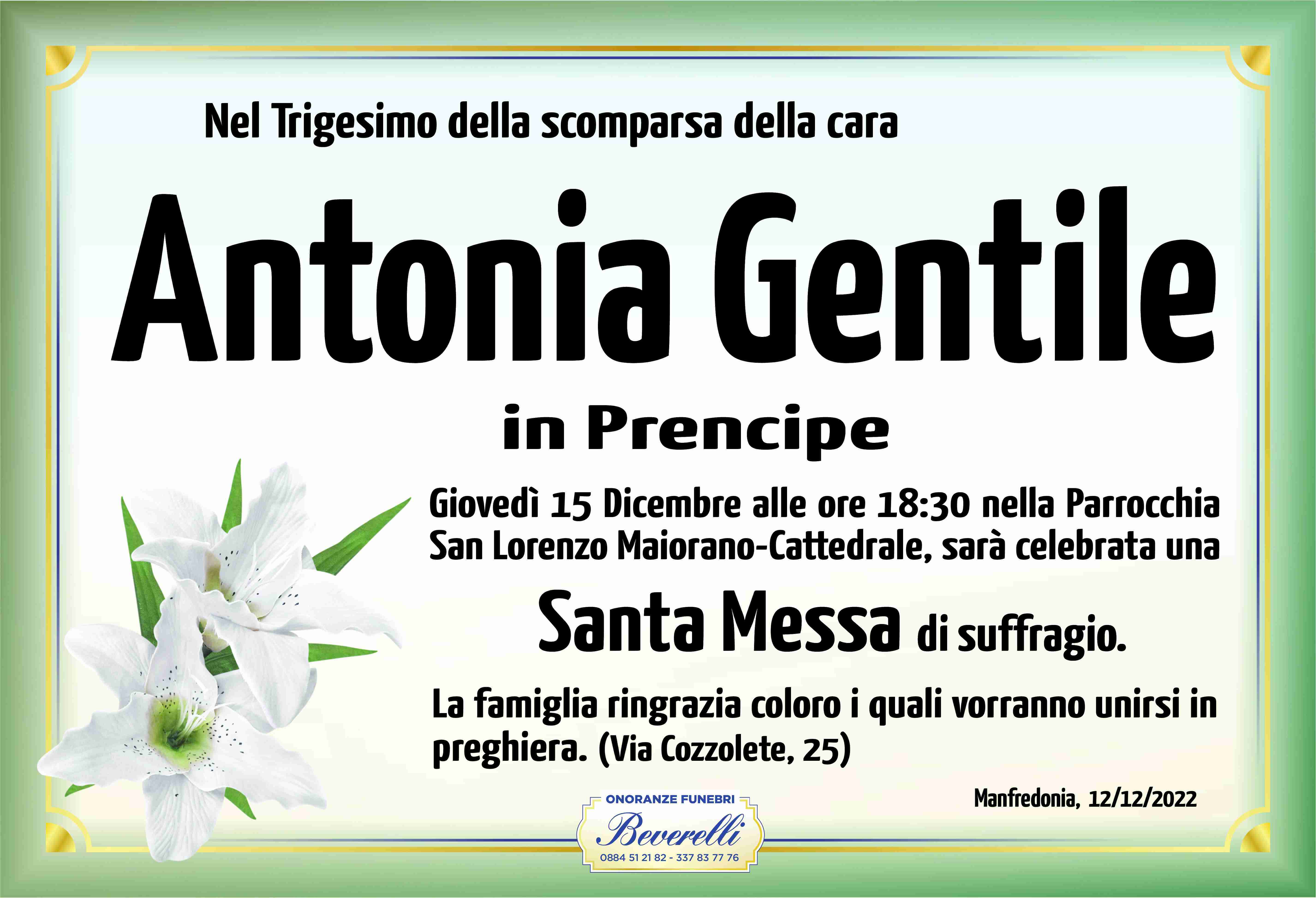 Antonia Gentile