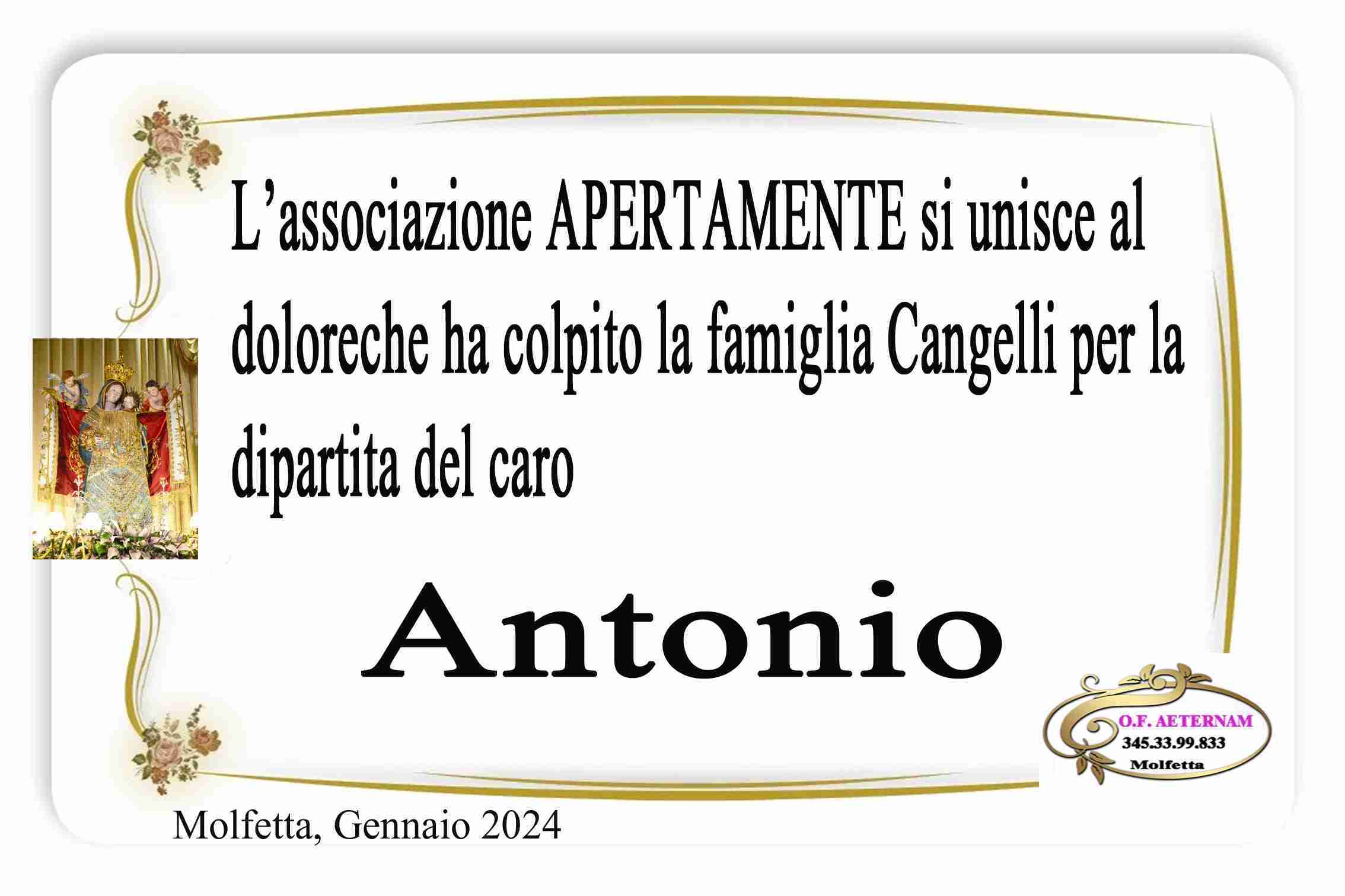 Antonio Cangelli