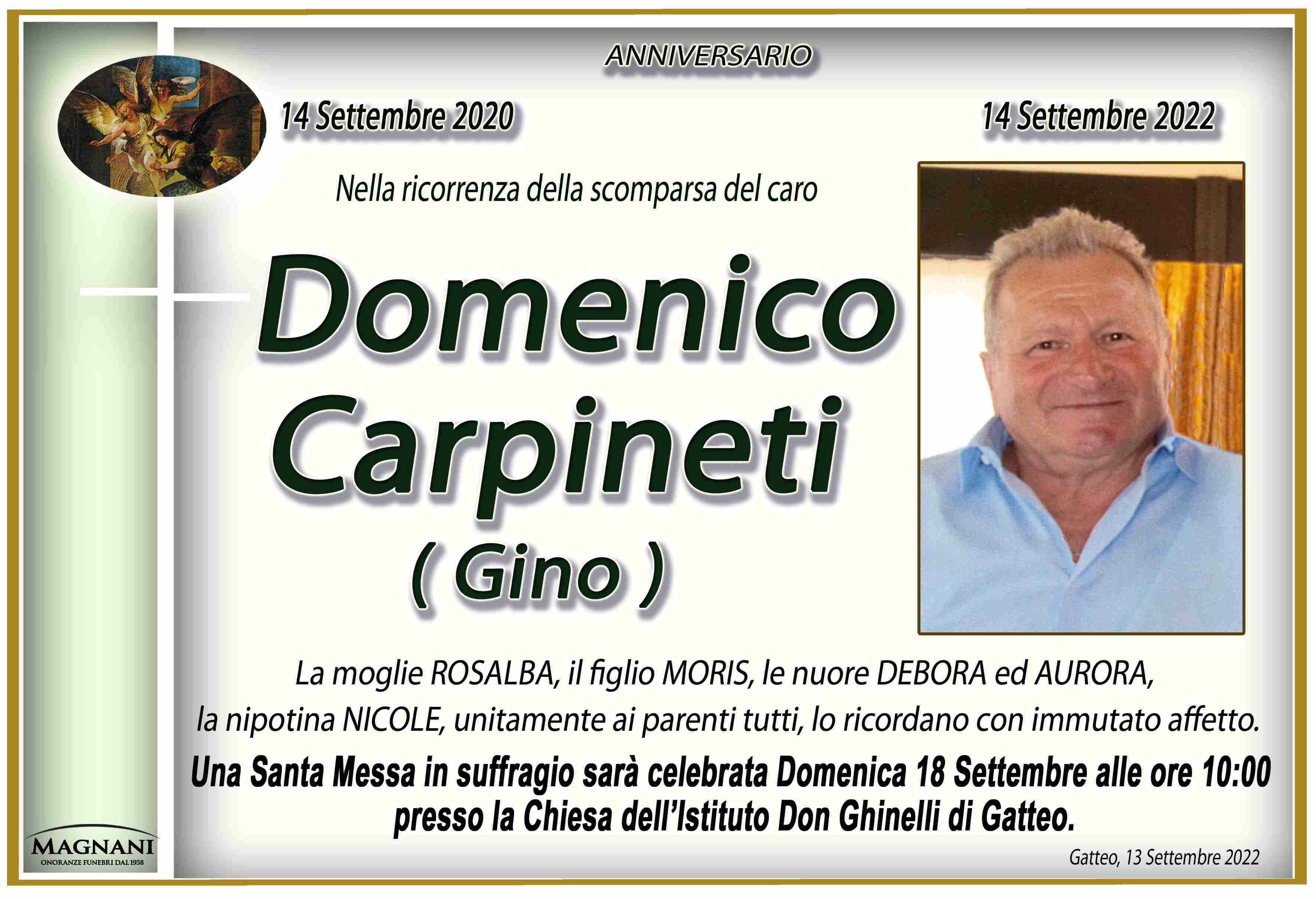 Domenico Carpineti ( Gino )