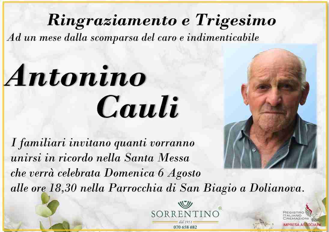 Antonino Cauli