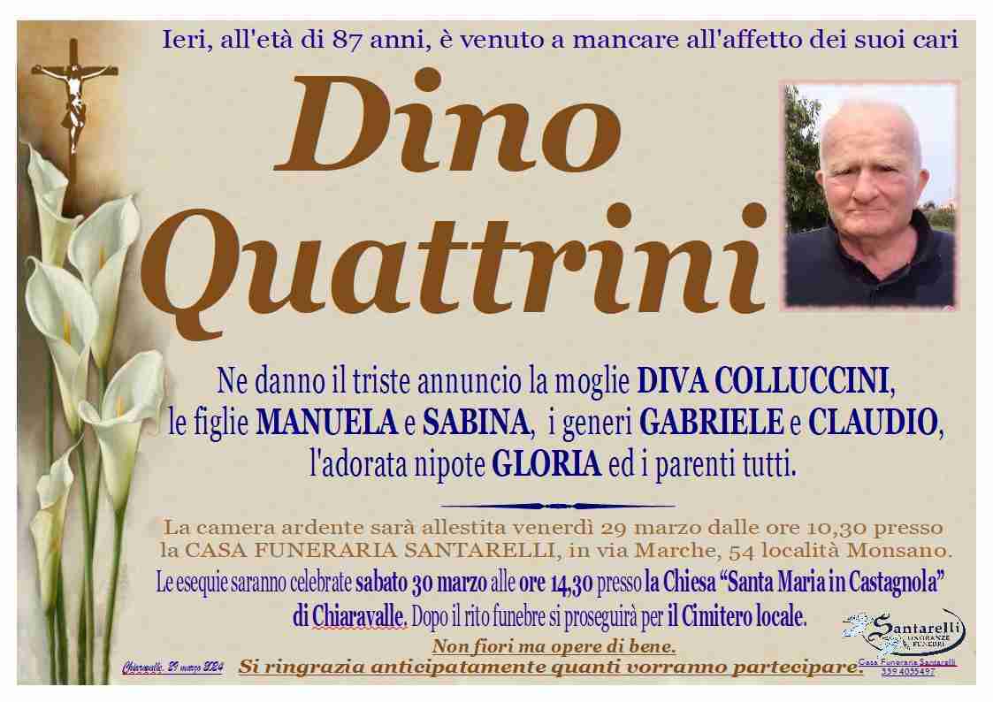 Dino Quattrini