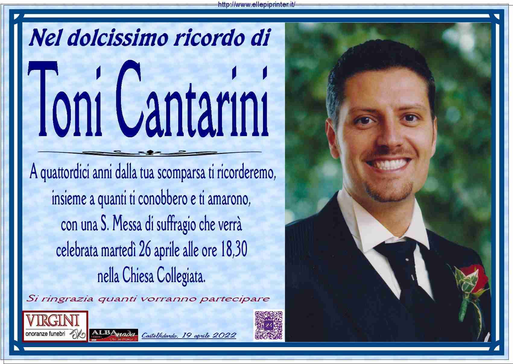 Toni Cantarini