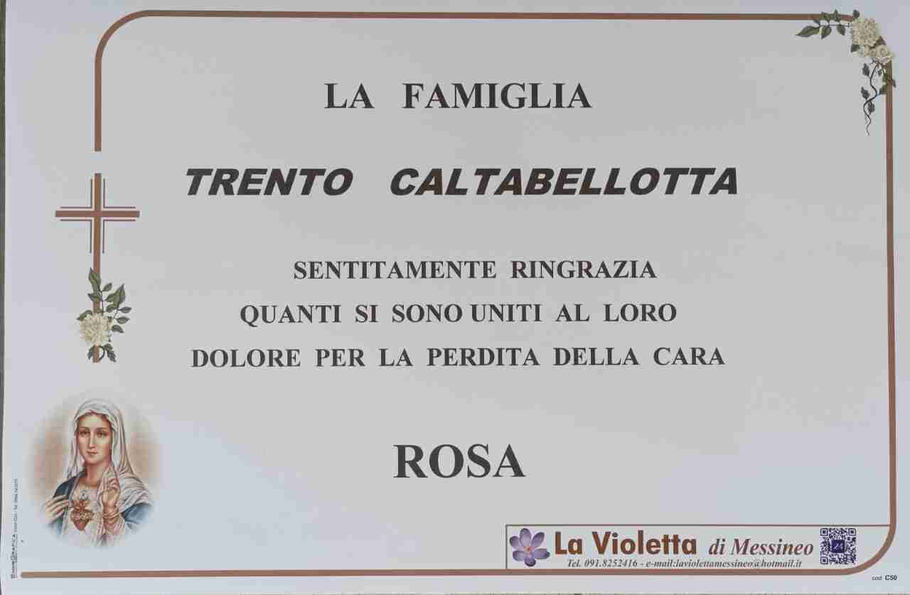 Rosa Caltabellotta
