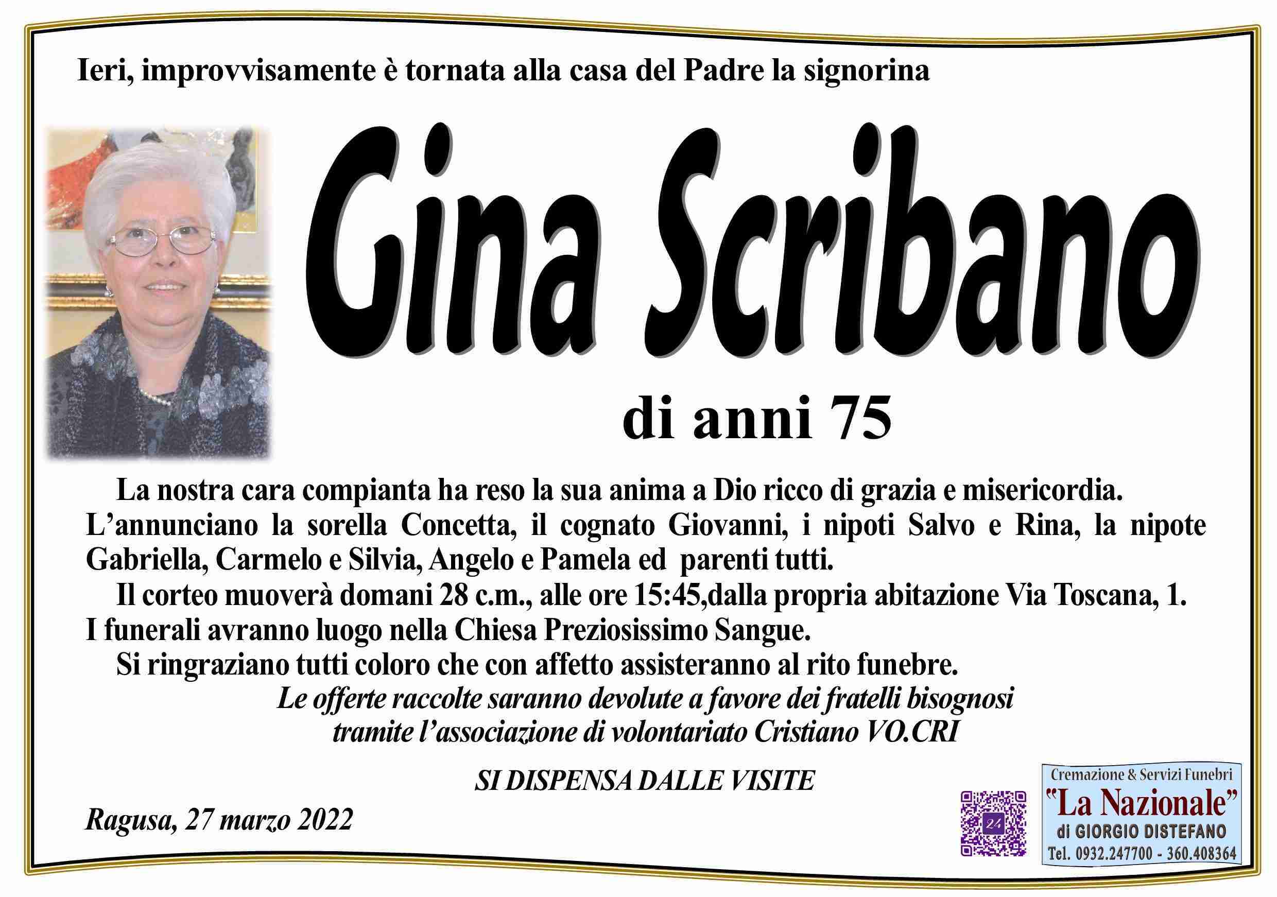 Gina Scribano