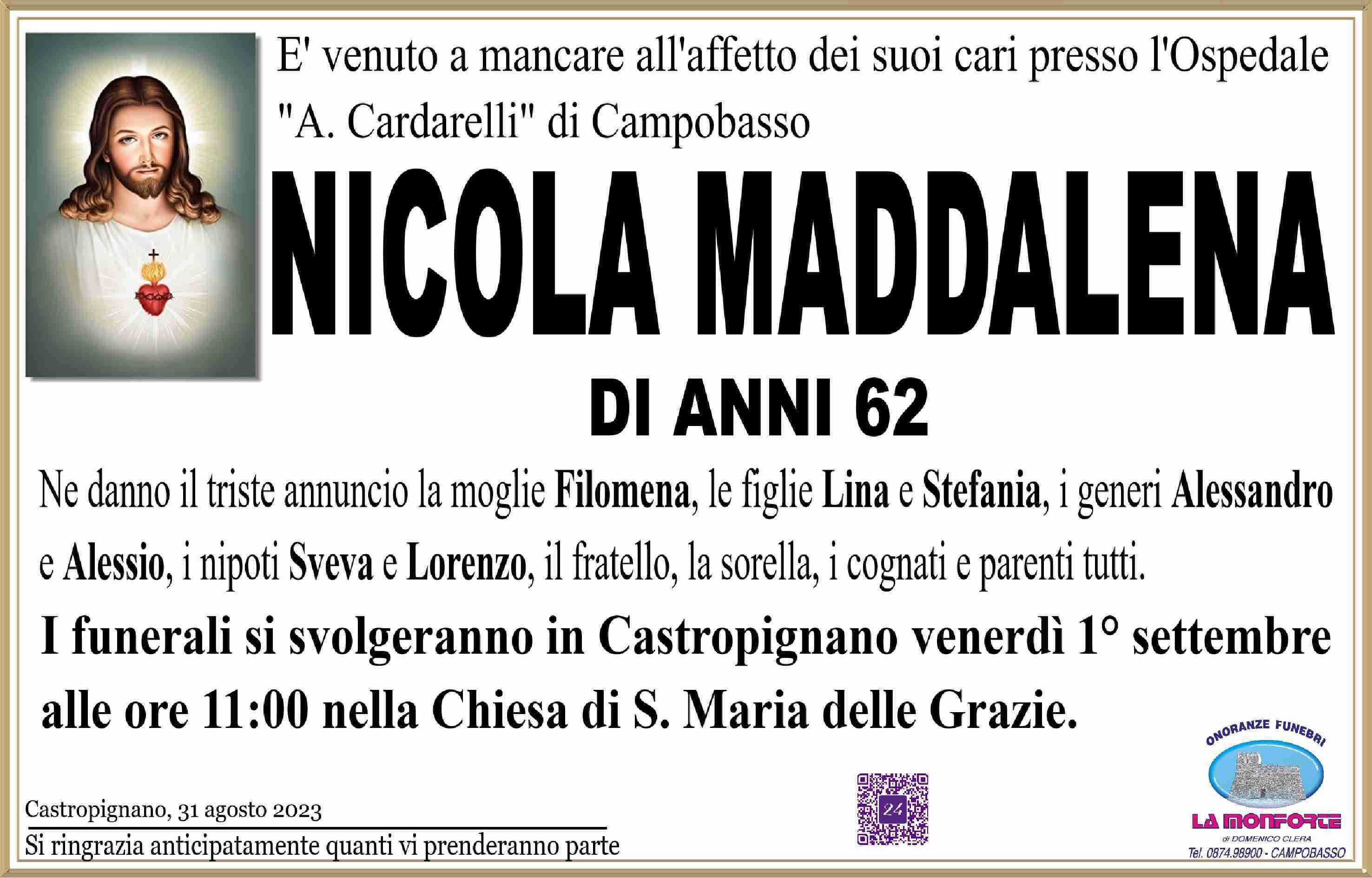 Nicola Maddalena