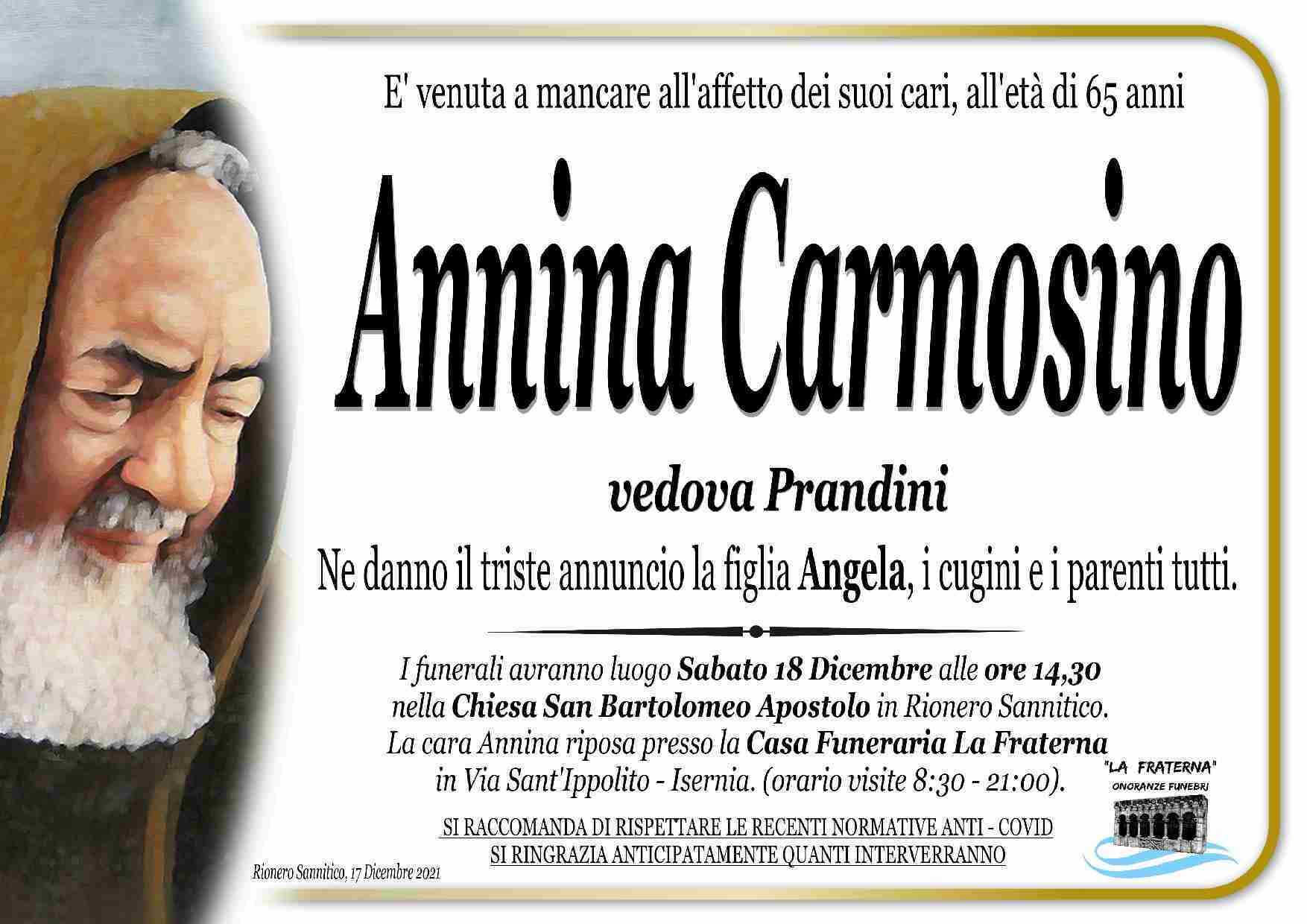 Annina Carmosino