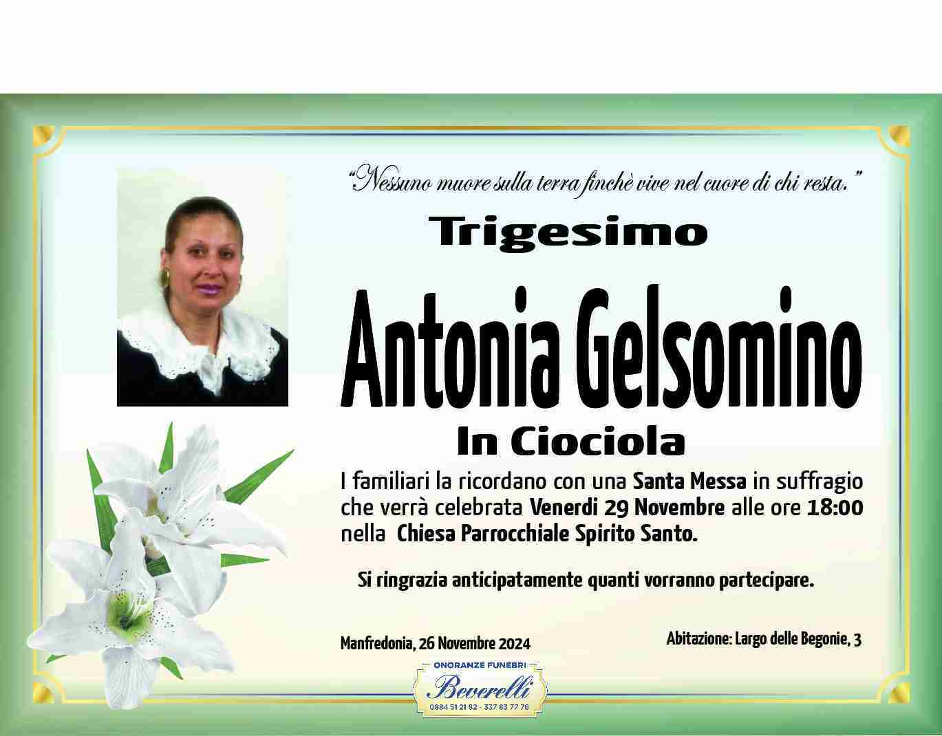 Antonia Gelsomino