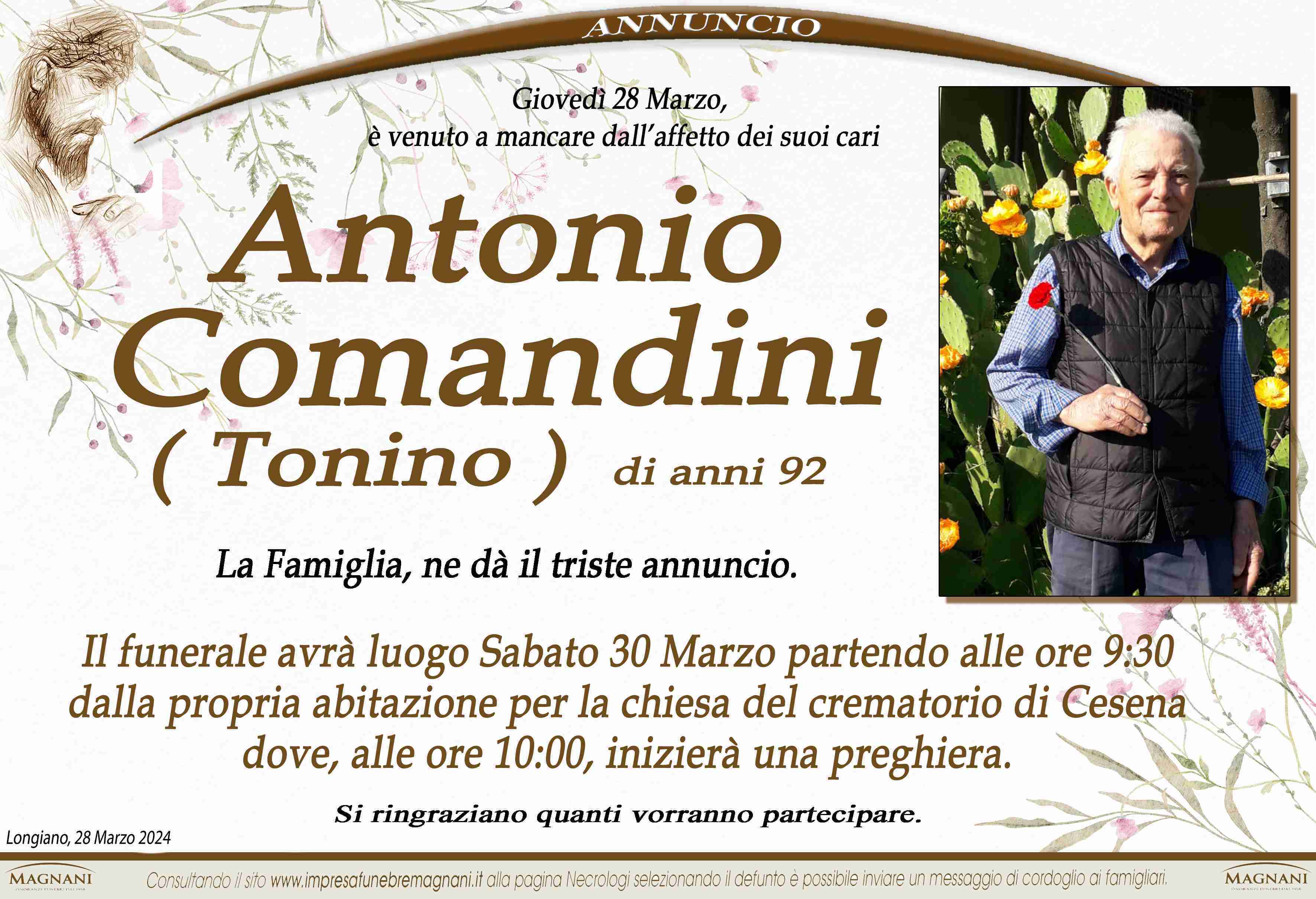 Antonio Comandini (Tonino)